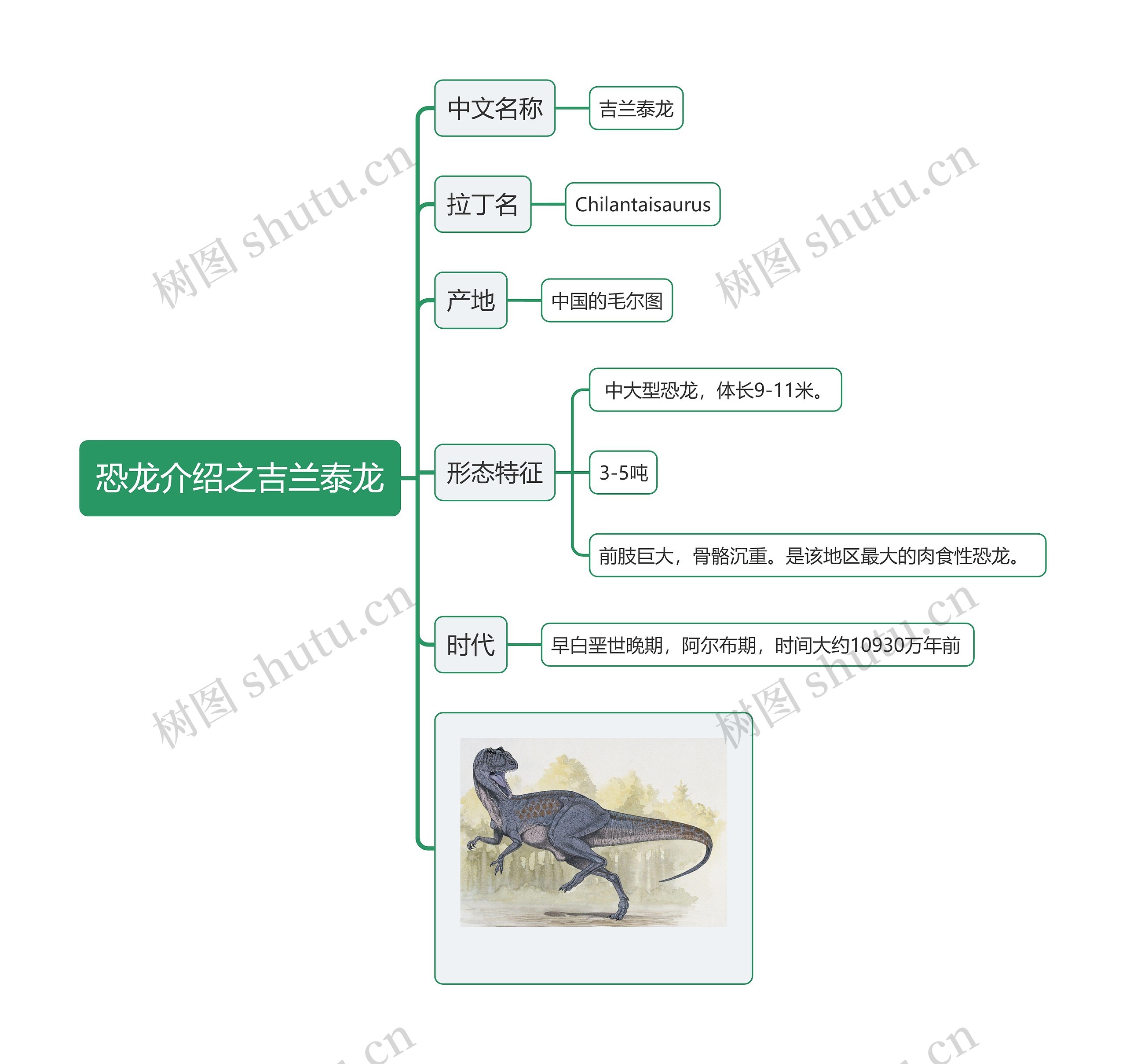 恐龙介绍之吉兰泰龙思维导图