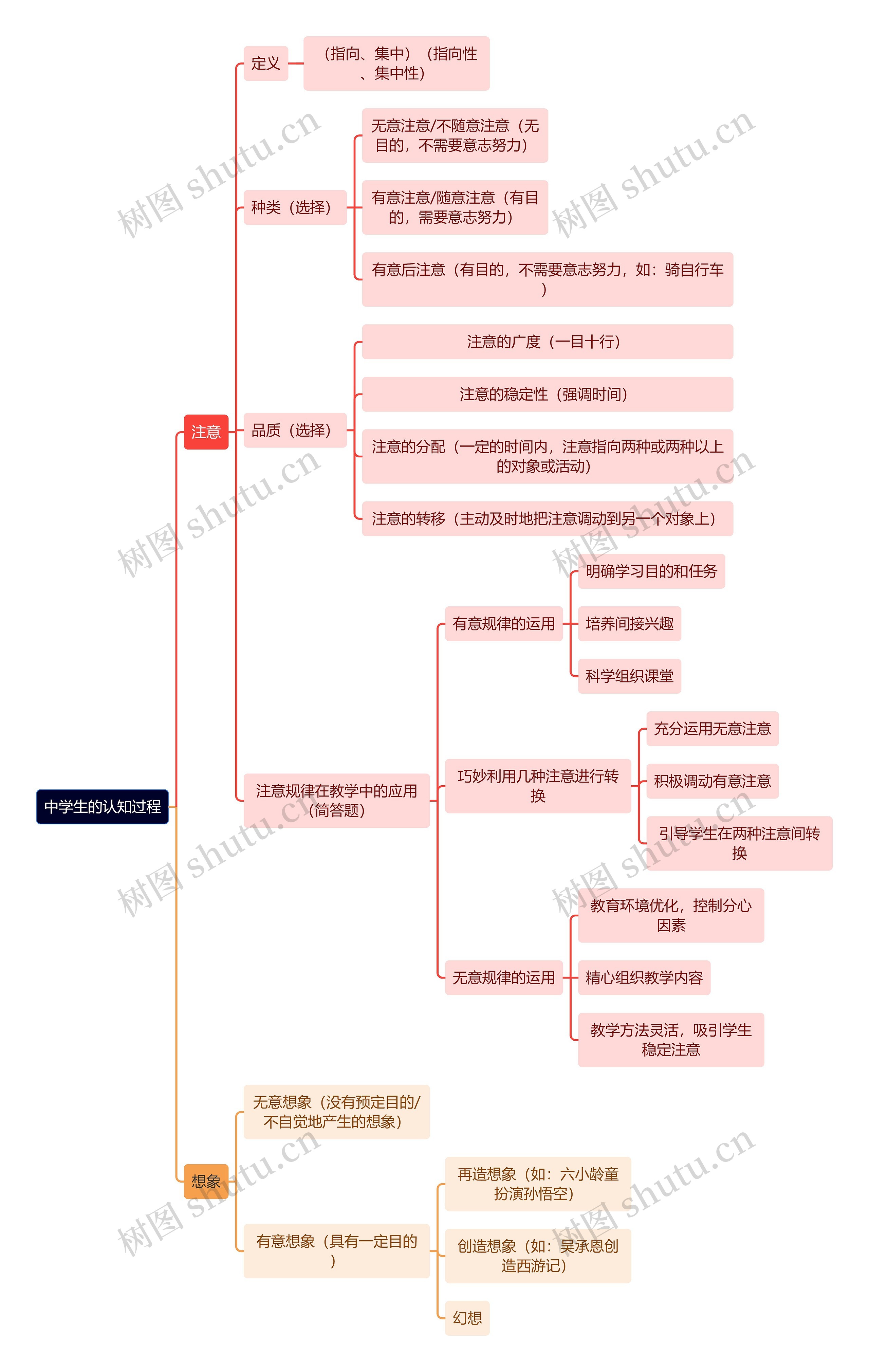 教育学知识中学生的认知过程思维导图