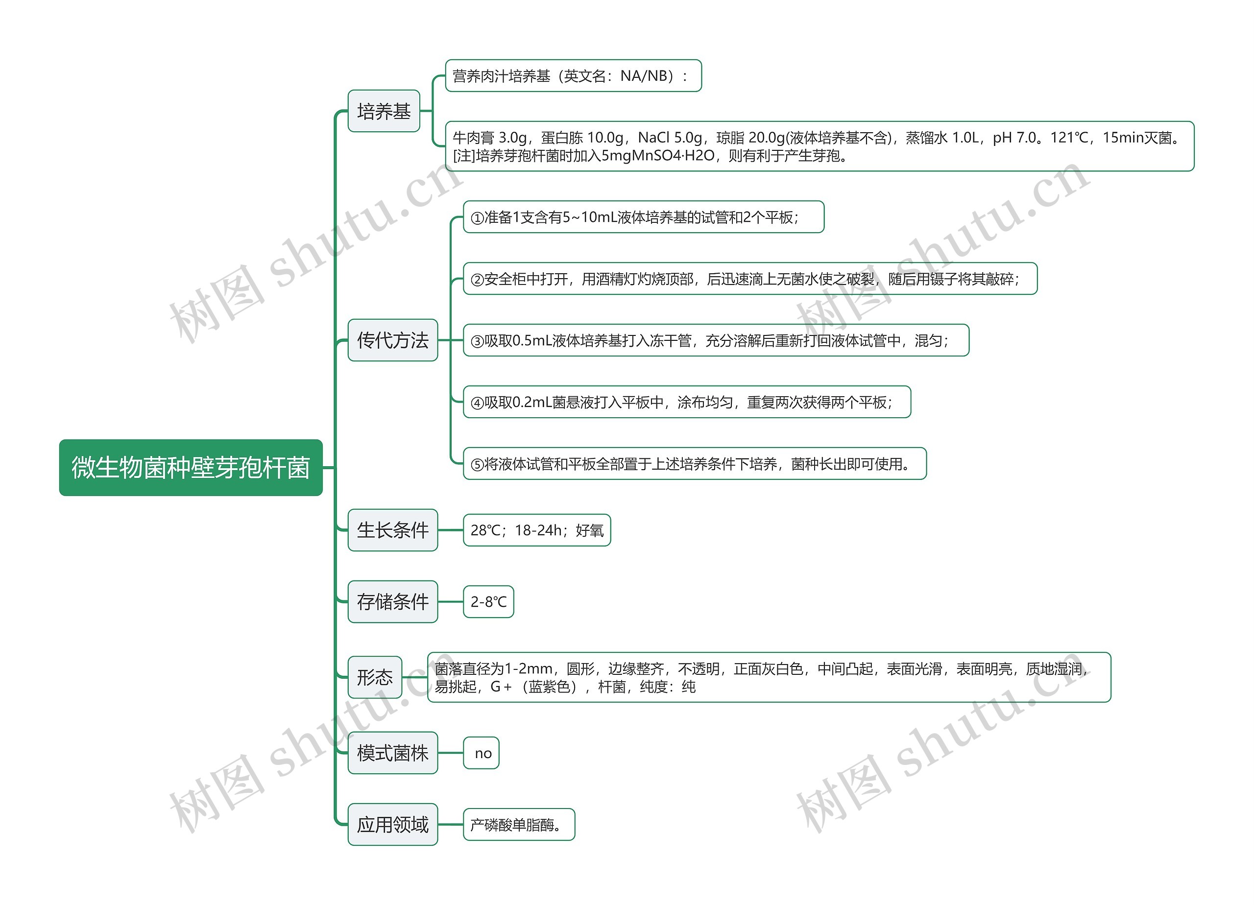 微生物菌种壁芽孢杆菌思维导图