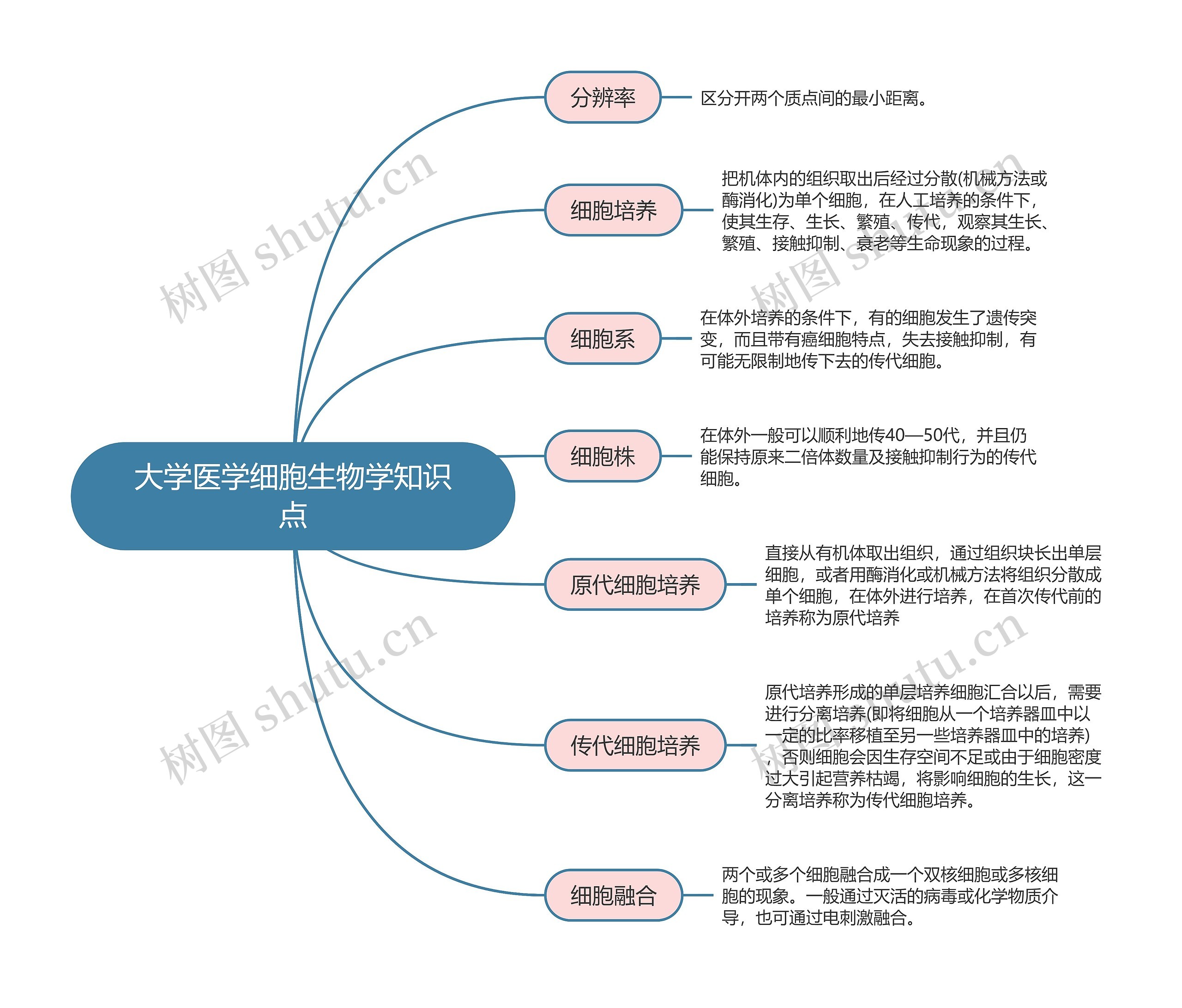 大学医学细胞生物学知识点思维导图