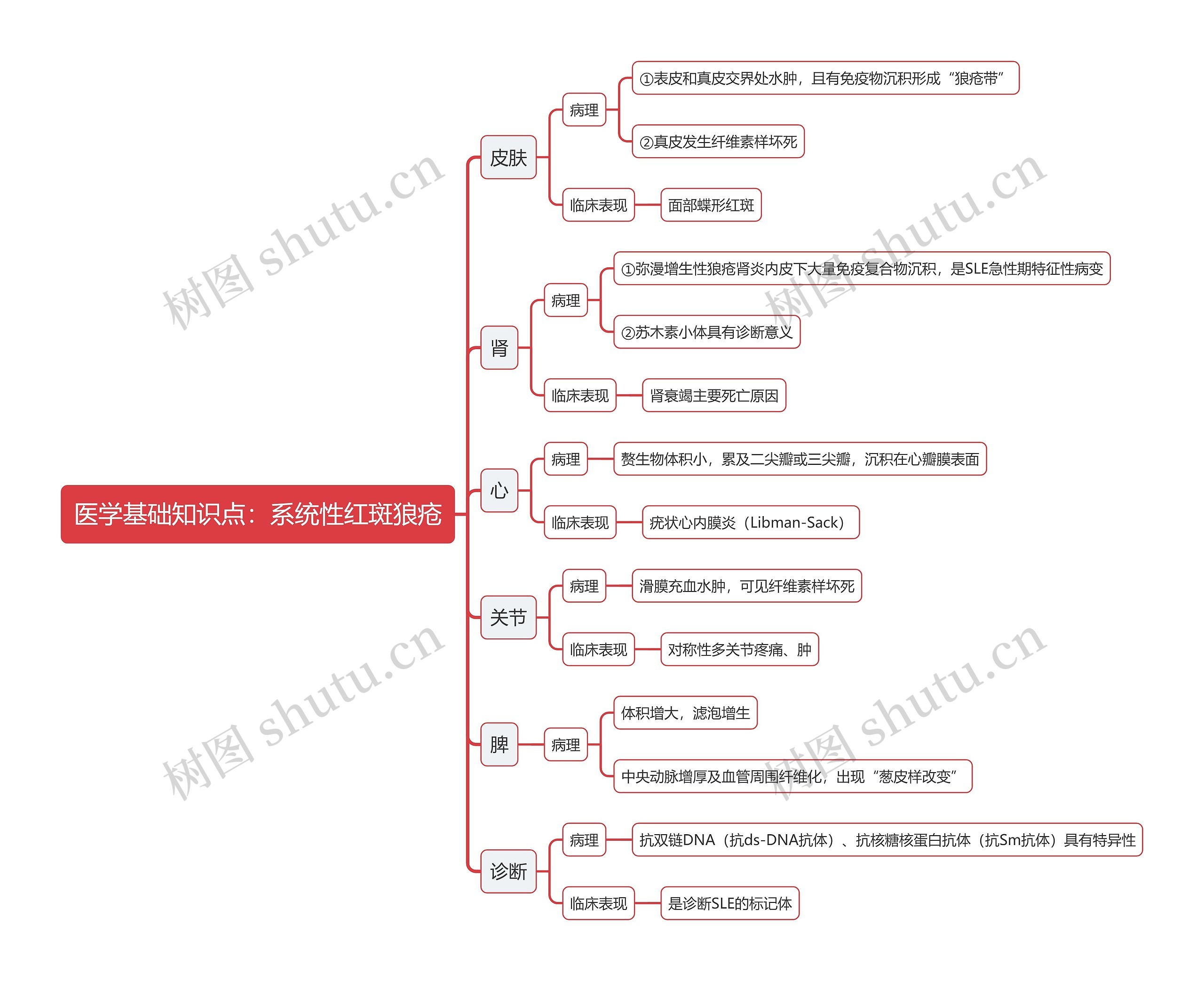 医学基础知识点：系统性红斑狼疮思维导图