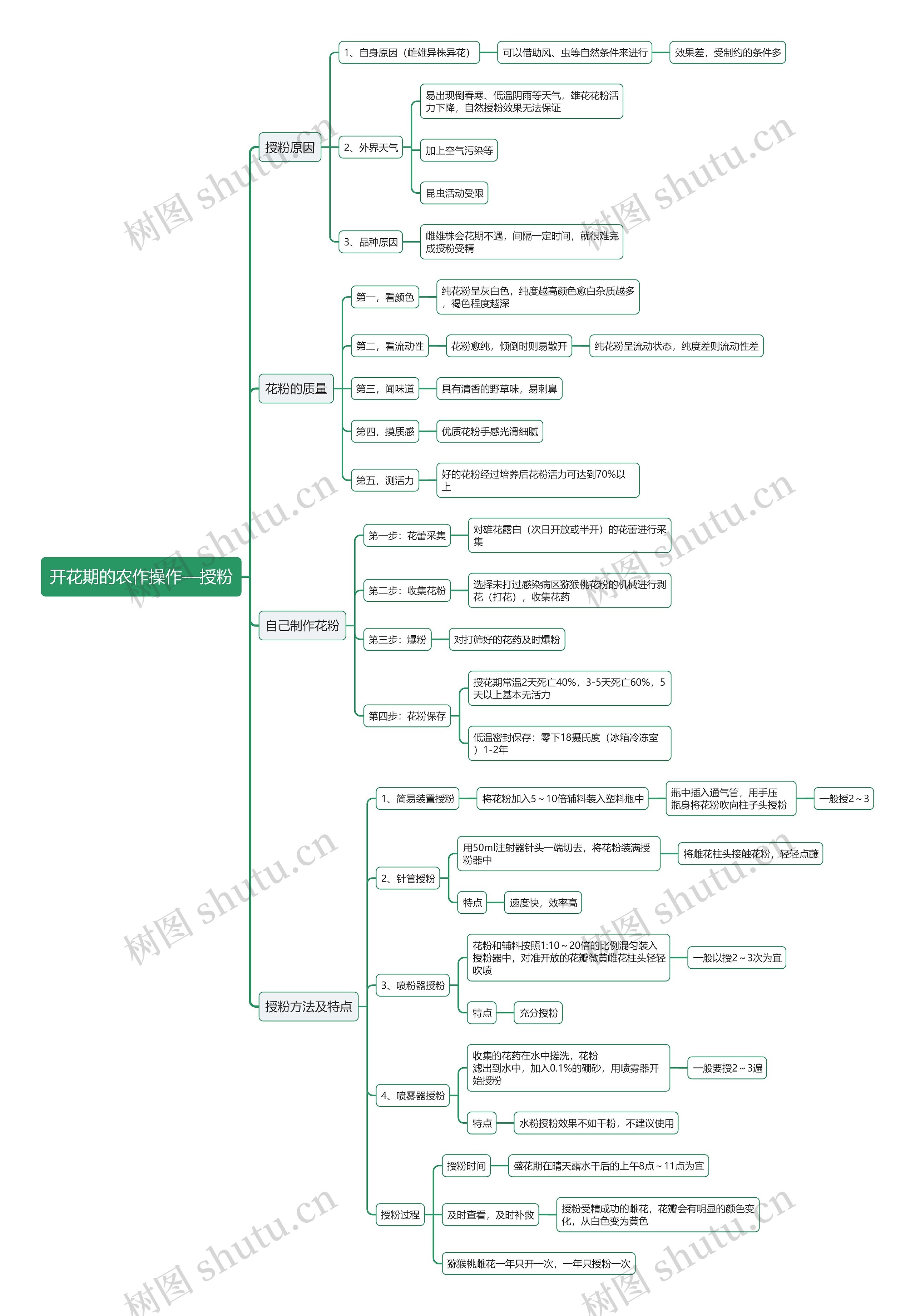 开花期的农作操作—授粉思维导图