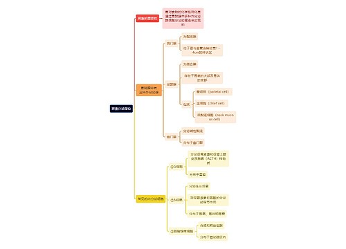 医学知识胃液分泌部位思维导图