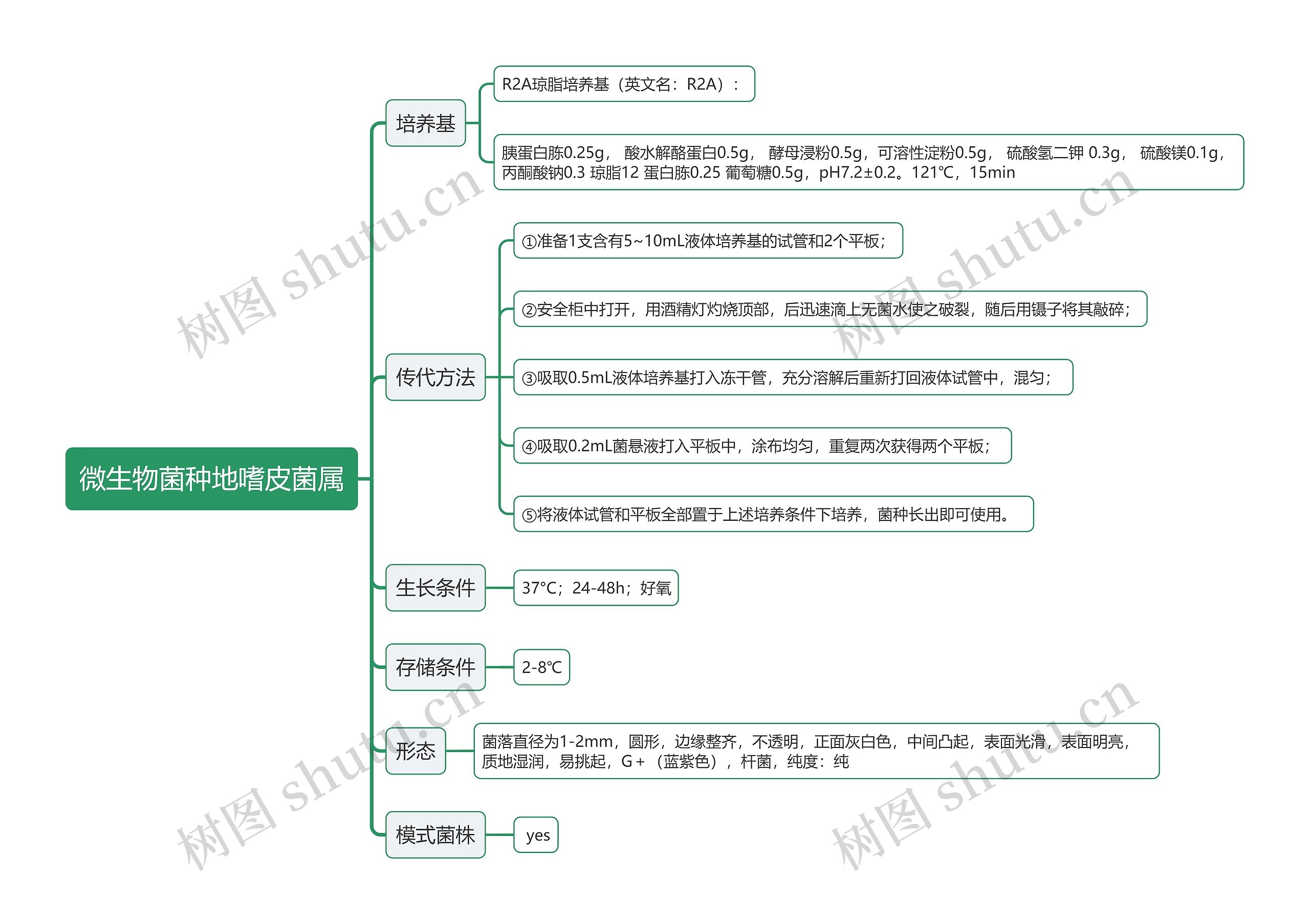 微生物菌种地嗜皮菌属思维导图