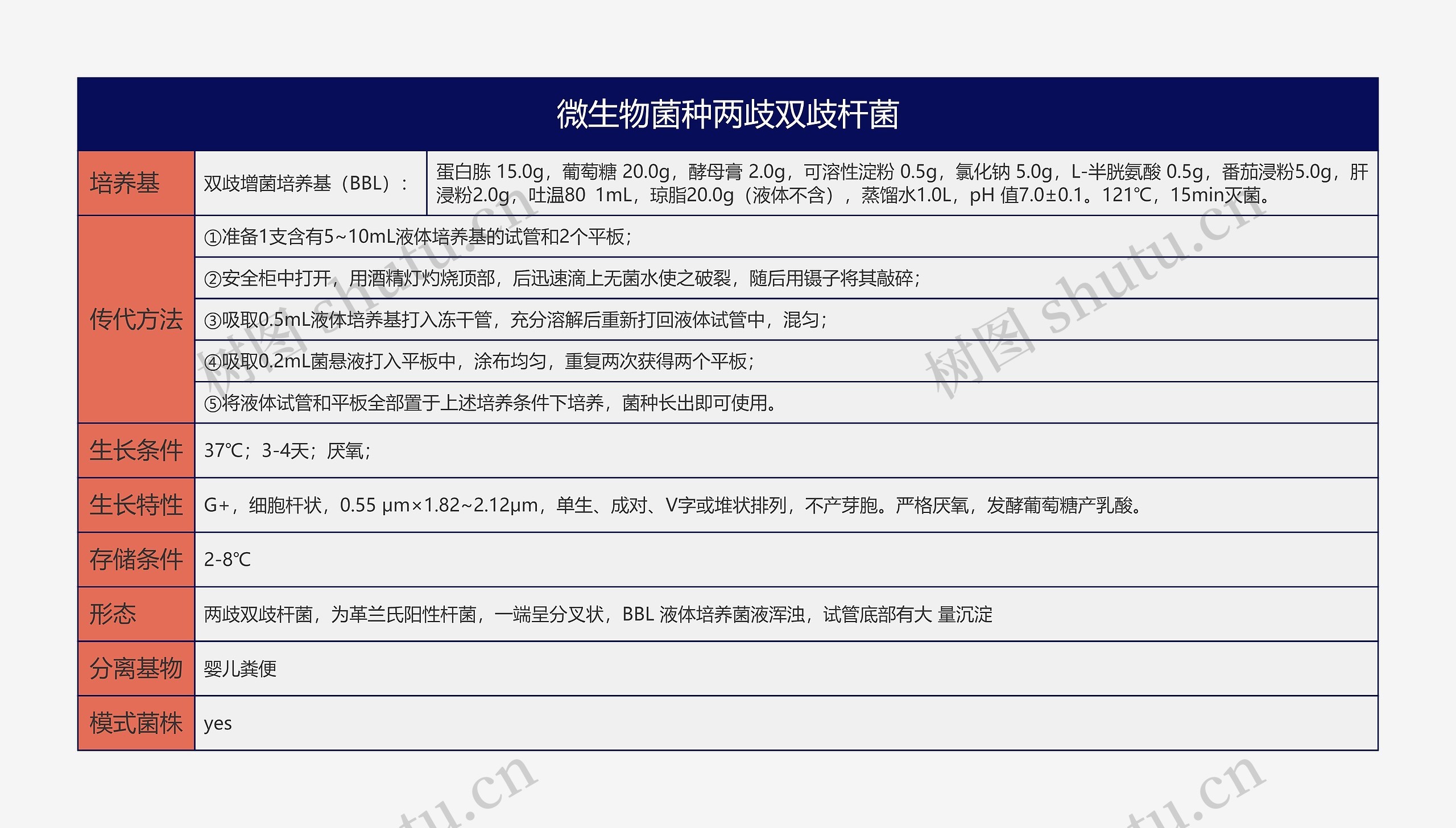 微生物菌种两歧双歧杆菌思维导图