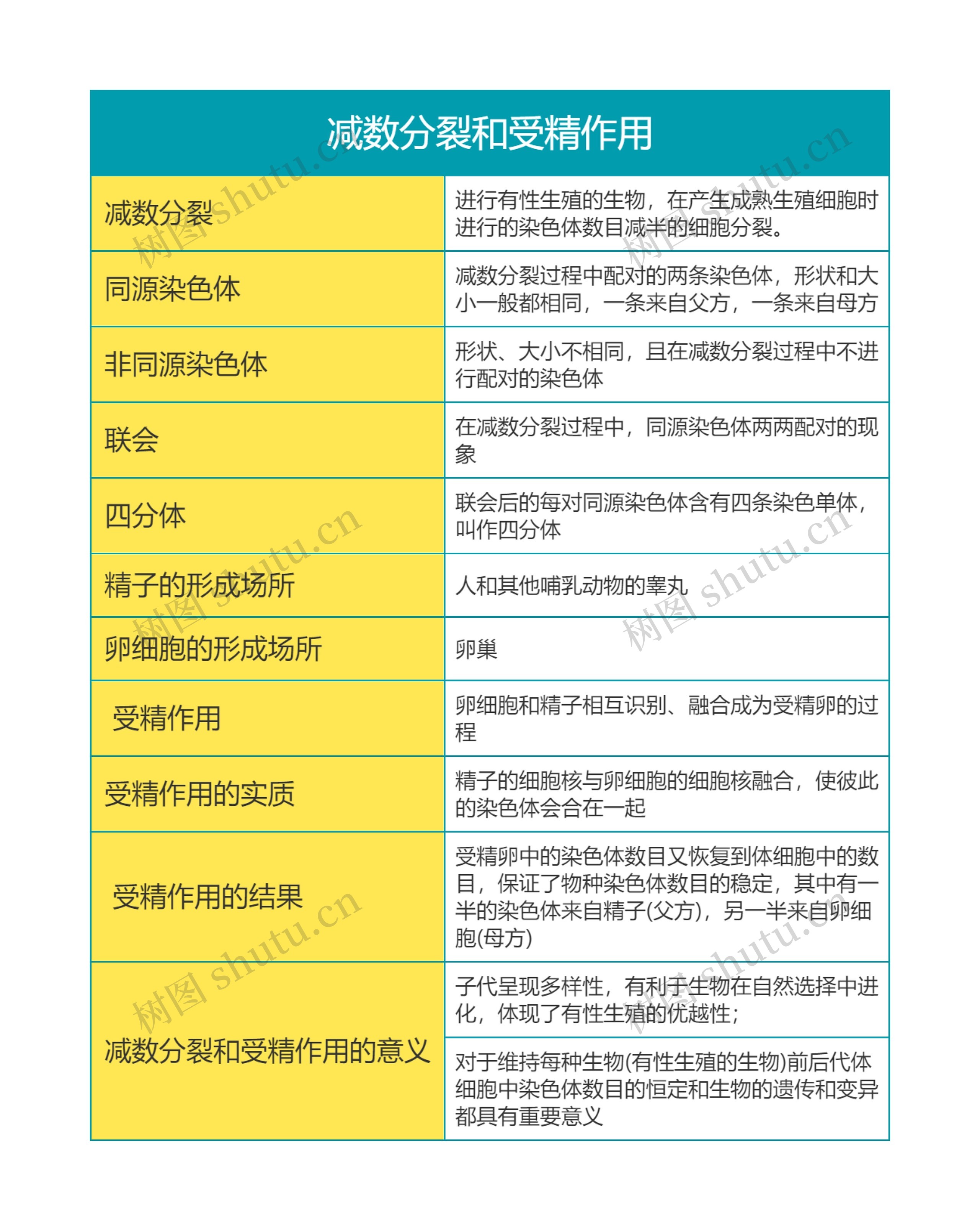 高中生物必修二第二单元减数分裂和受精作用思维导图