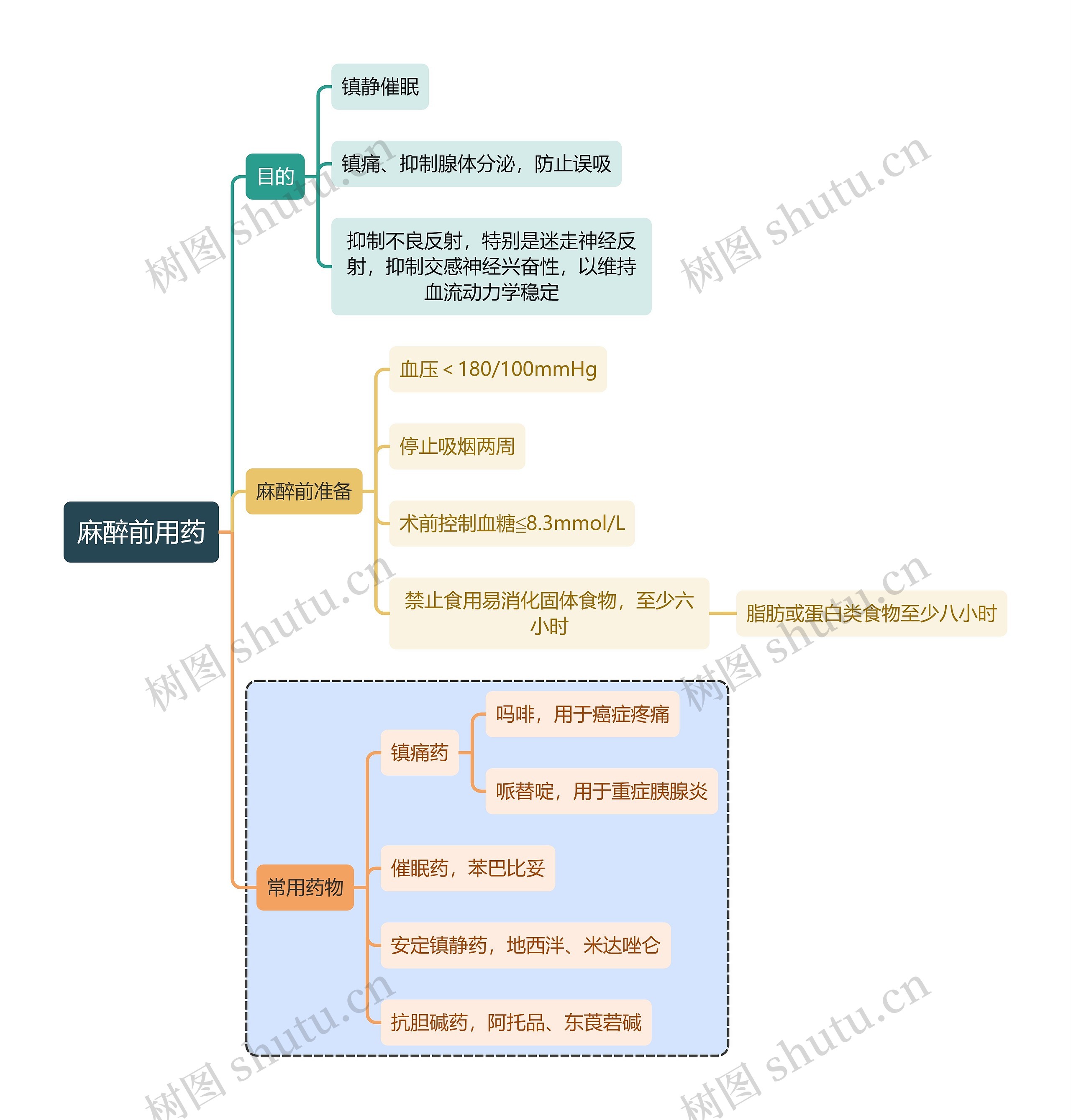 医学麻醉前用药思维导图