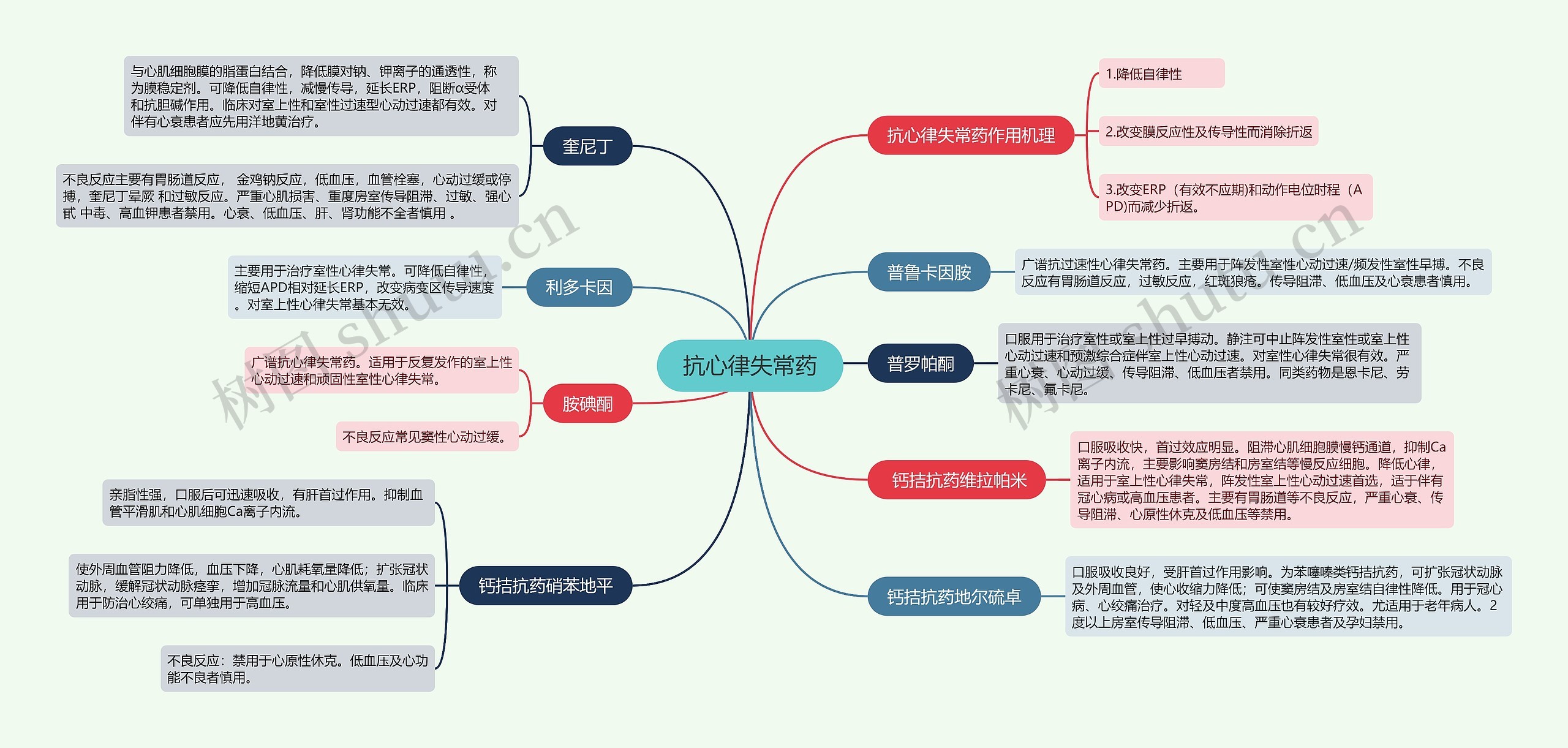 抗心律失常药的思维导图