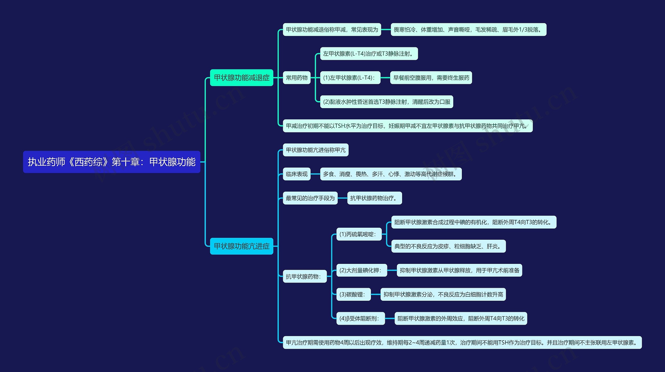 执业药师《西药综》第十章：甲状腺功能思维导图