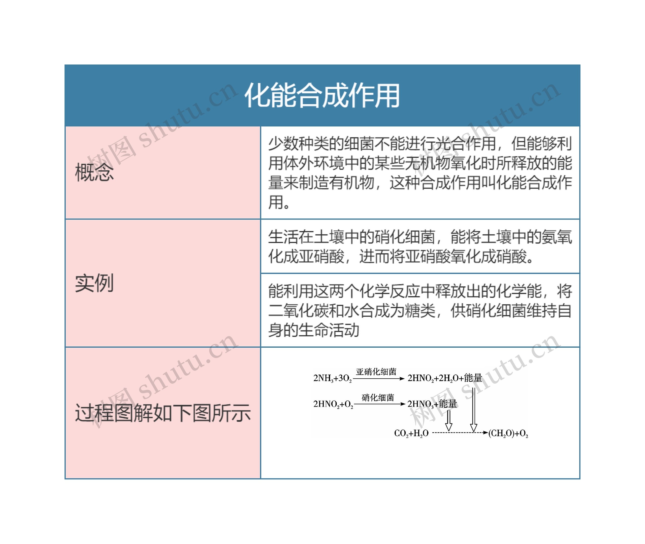 高中生物必修一化能合成作用思维导图