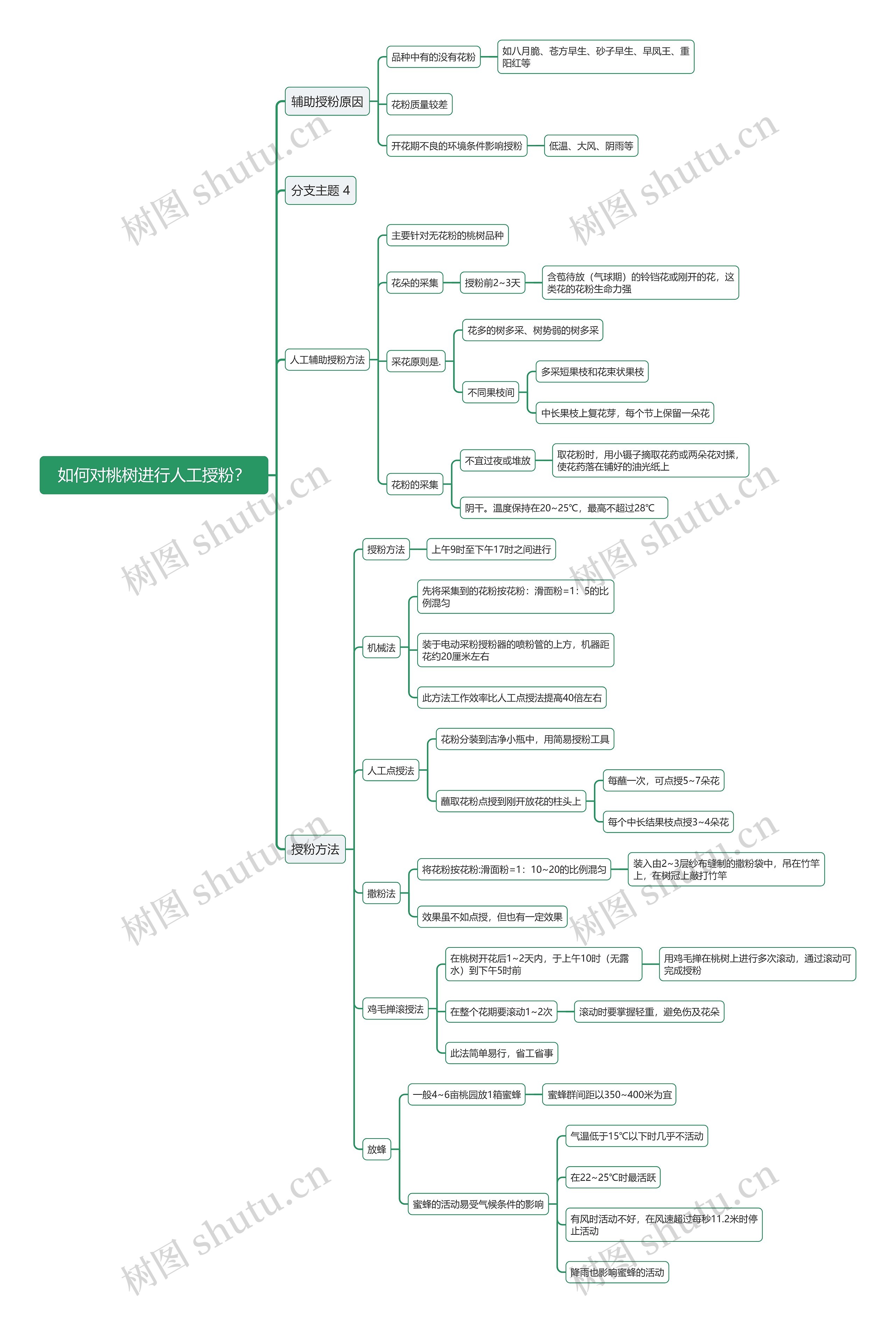如何对桃树进行人工授粉？思维导图