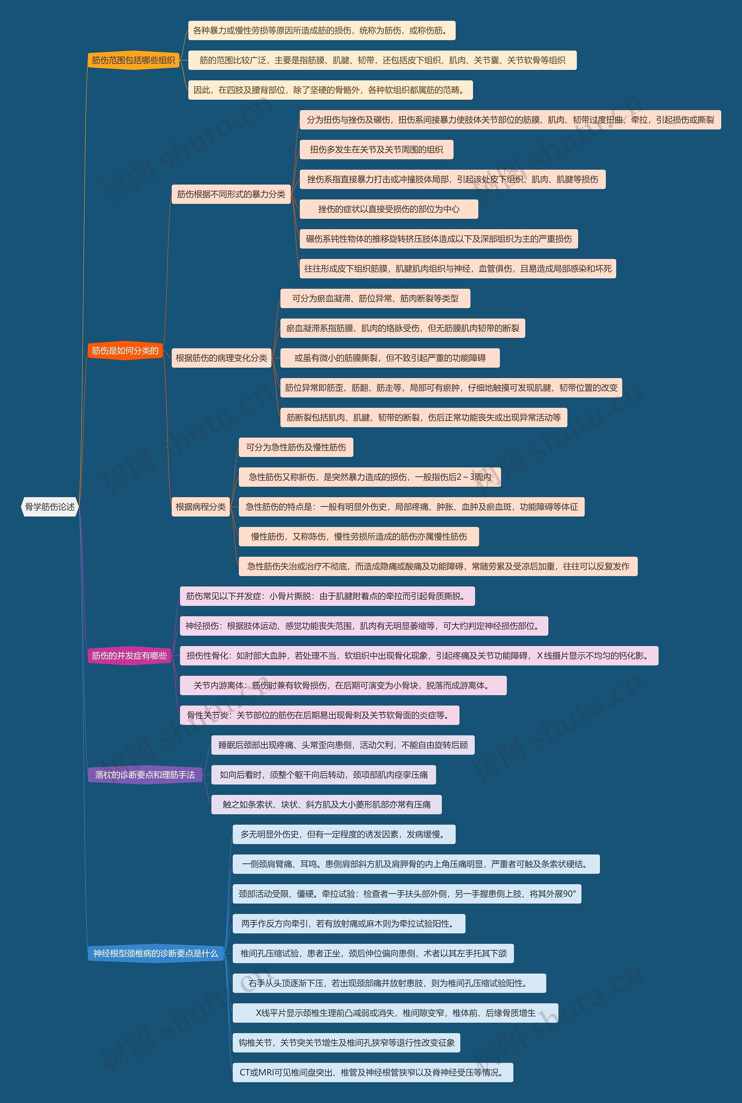 骨学筋伤论述思维导图