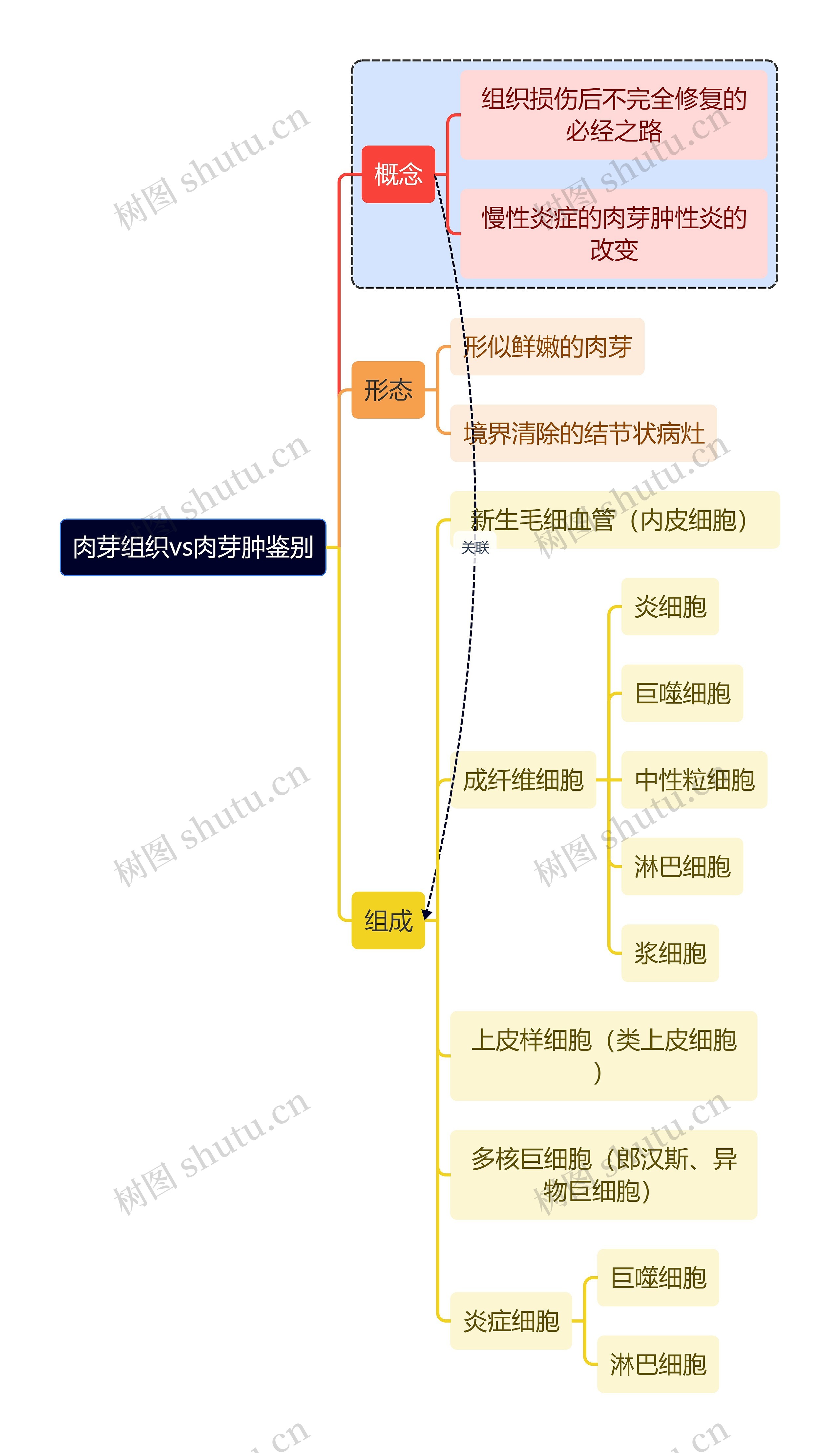 医学知识肉芽组织vs肉芽肿鉴别思维导图