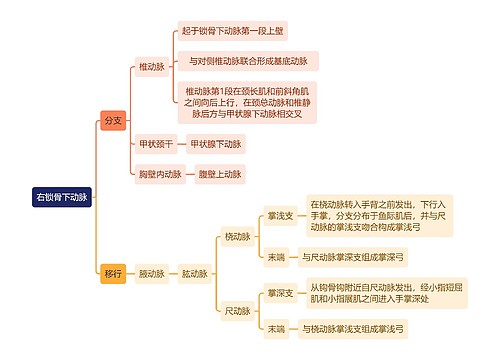 解剖学知识右锁骨下动脉思维导图