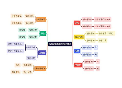 医学知识视锥系统和视杆系统对比思维导图