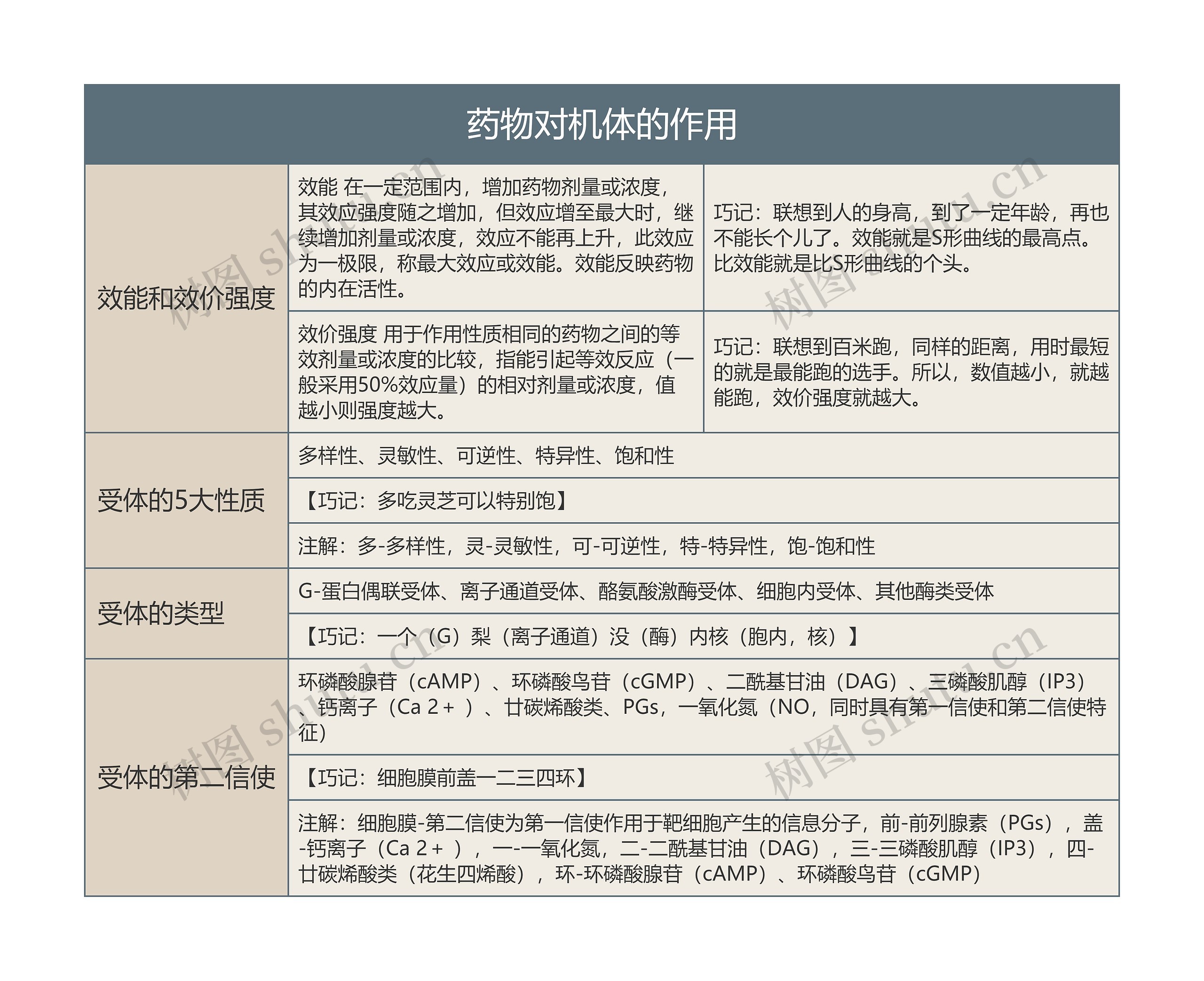 药物对机体的作用的思维导图