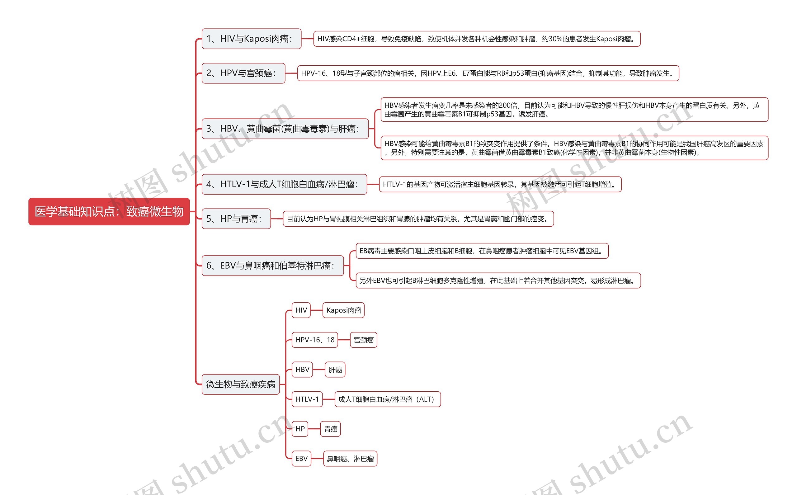 医学基础知识点：致癌微生物思维导图