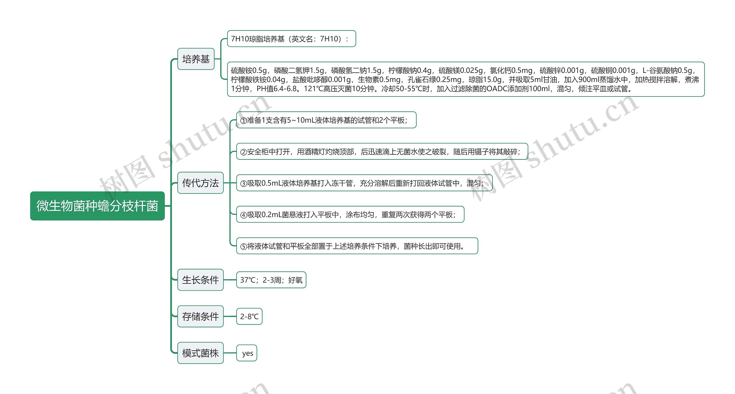 微生物菌种蟾分枝杆菌思维导图