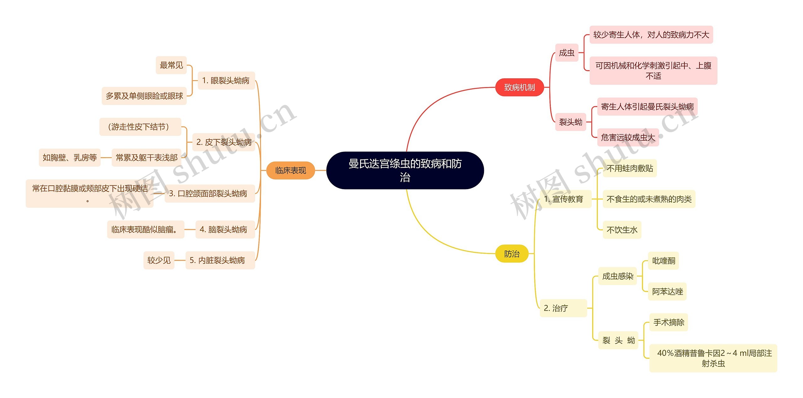 医学知识曼氏迭宫绦虫的致病和防治思维导图