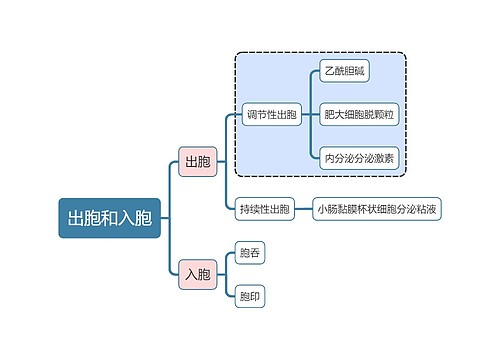 医学知识出胞和入胞思维导图