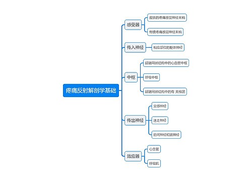 医学疼痛反射解剖学基础思维导图