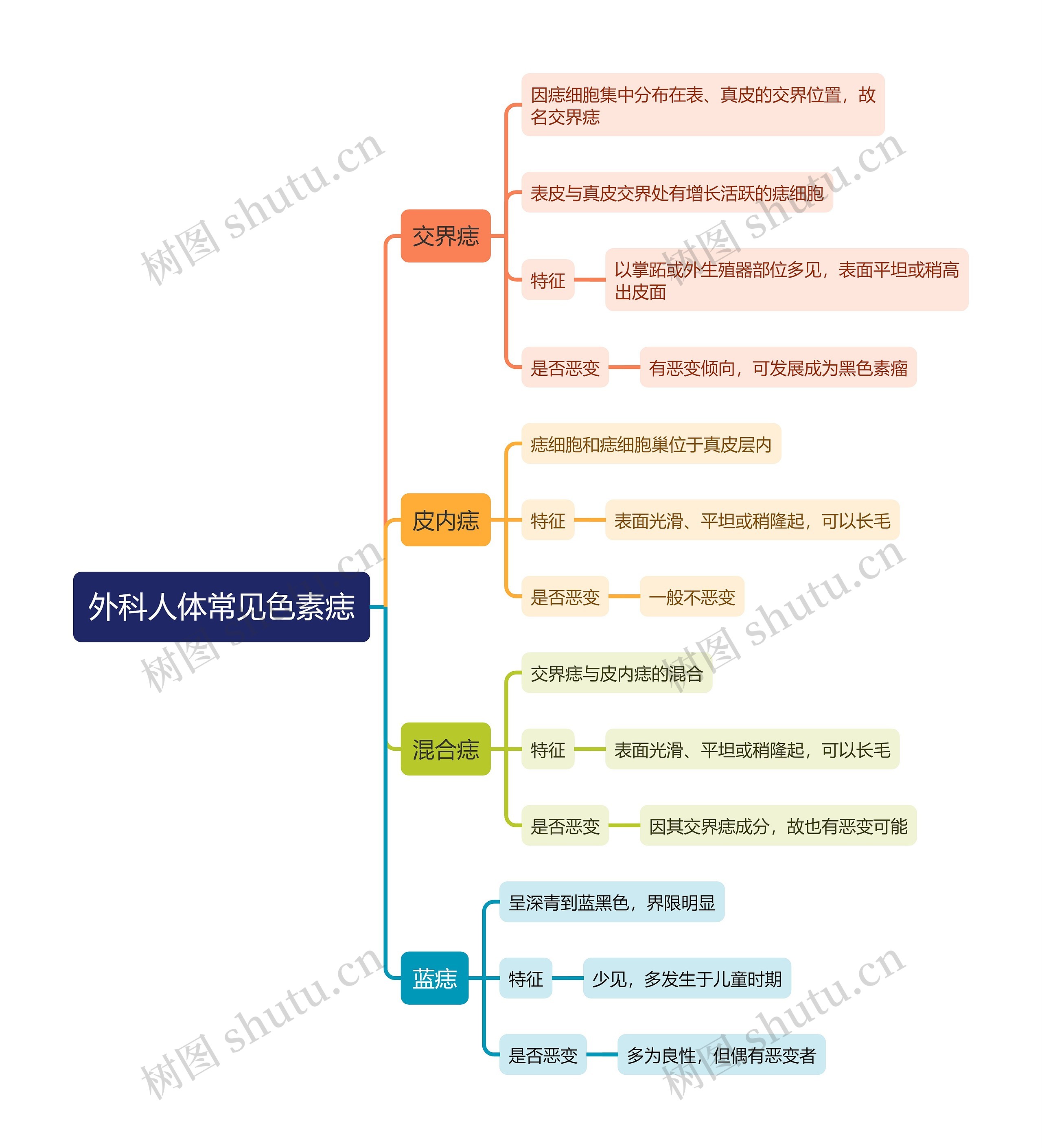 外科人体常见色素痣