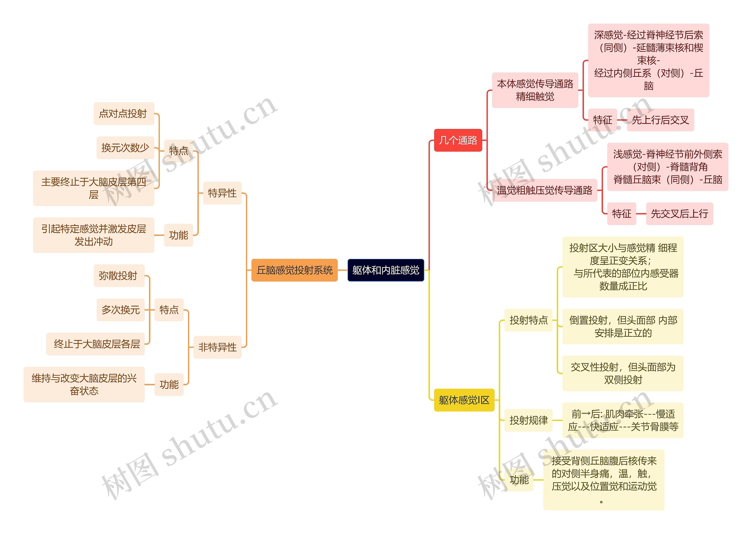 医学知识躯体和内脏感觉思维导图