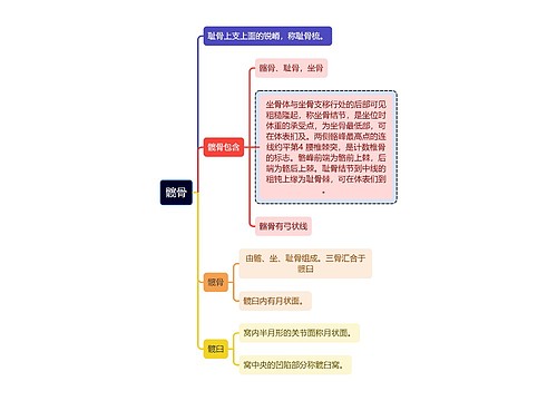 医学知识髋骨中的髋臼等思维导图