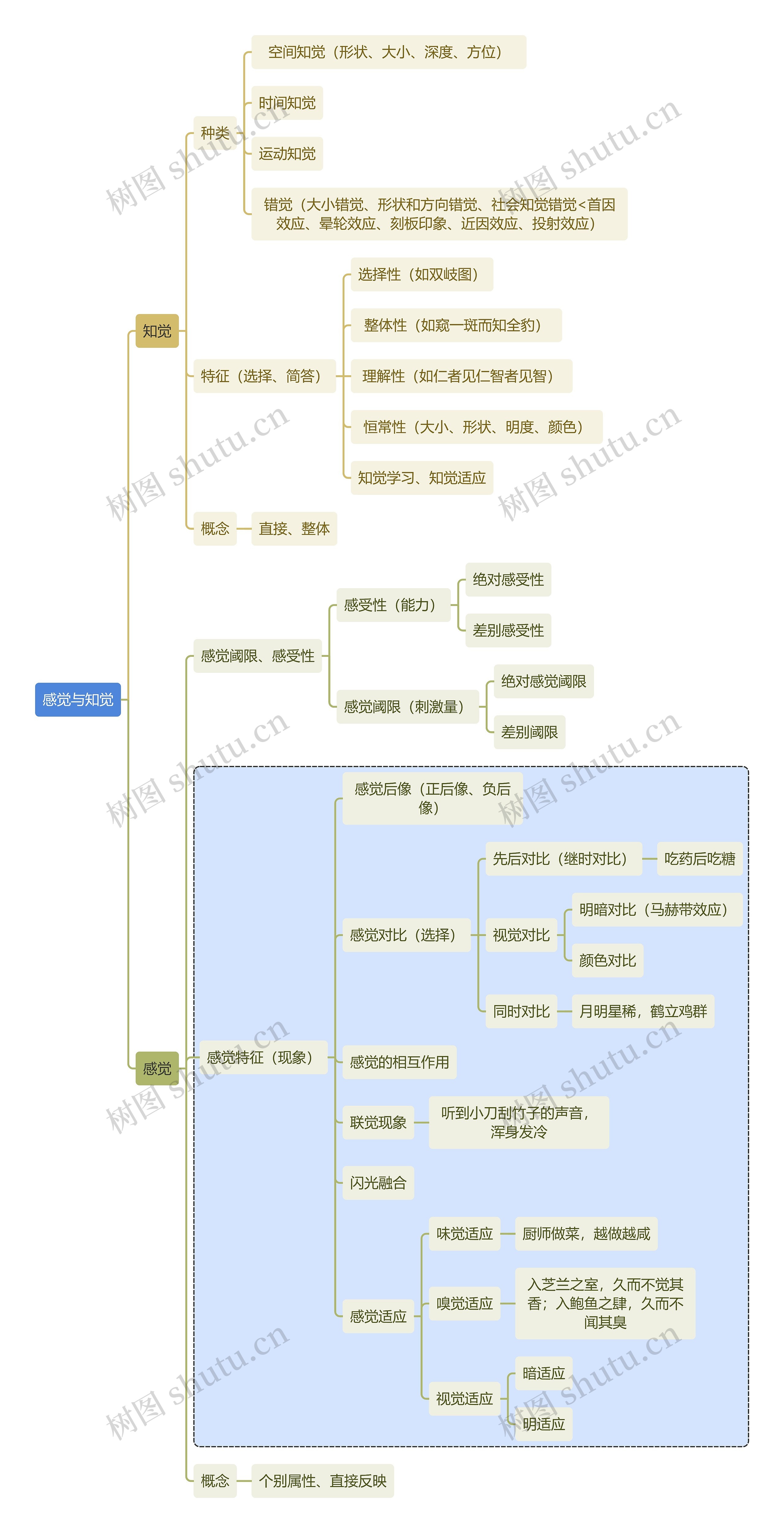 初中教育感觉与知觉思维导图