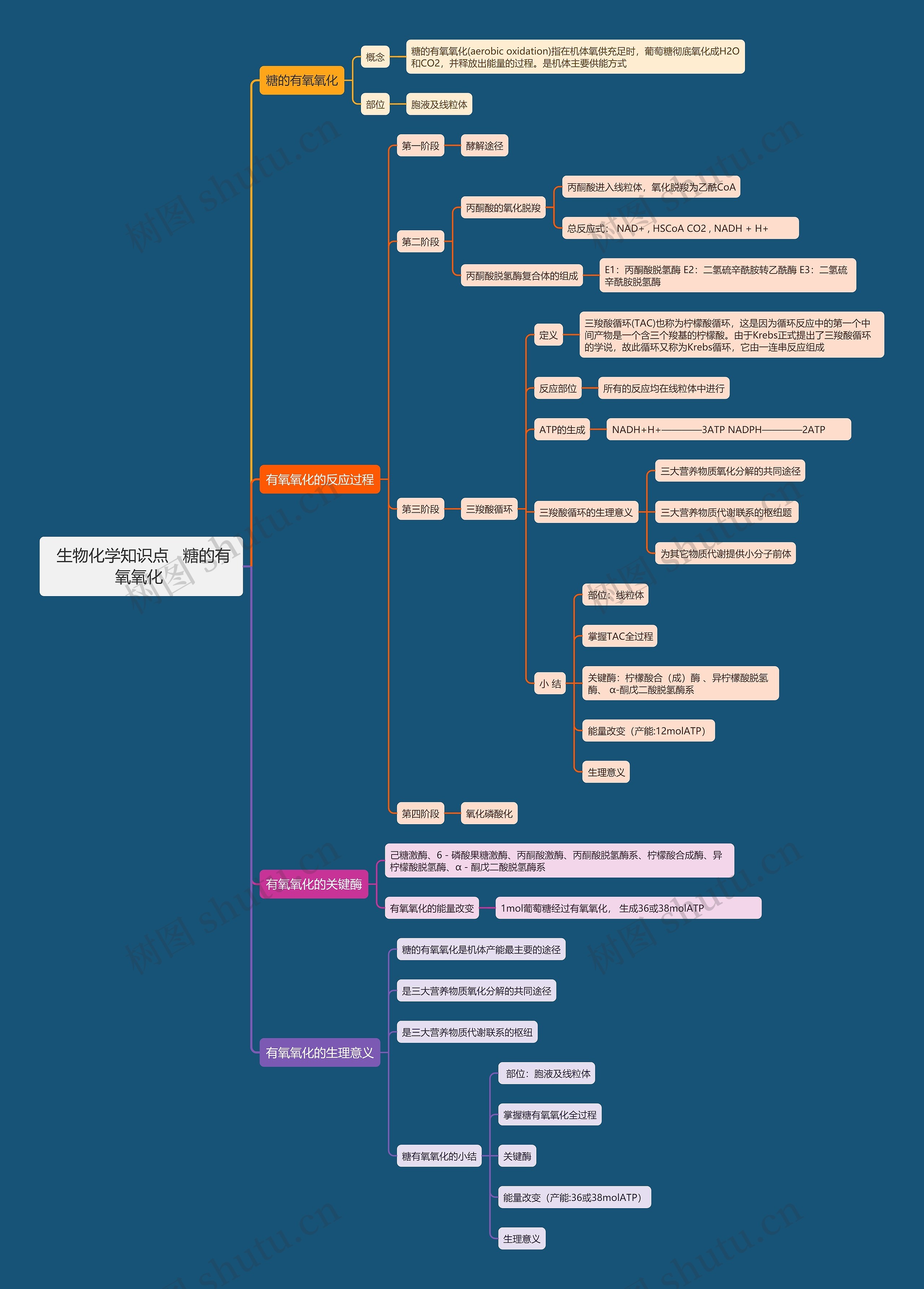  生物化学知识点   糖的有氧氧化 思维导图