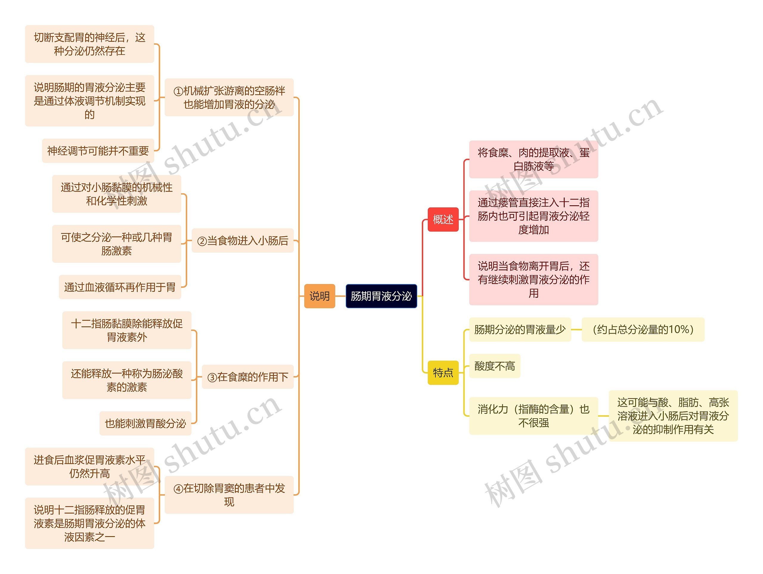 医学知识肠期胃液分泌思维导图