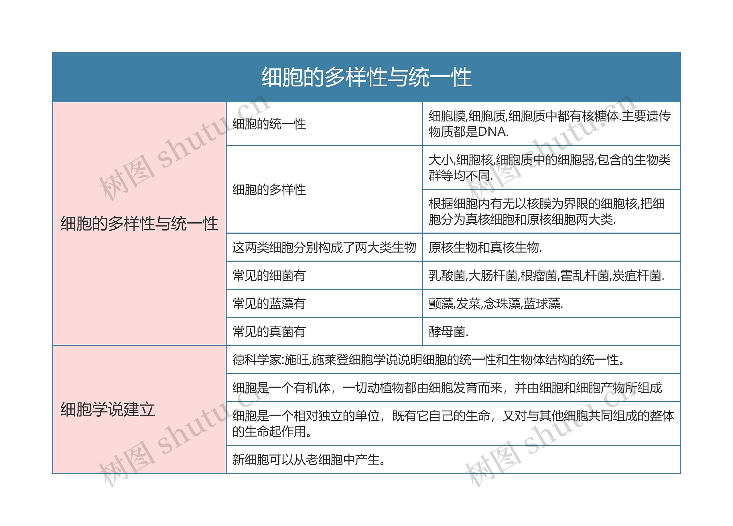 高一生物必修一细胞的多样性与统一性思维导图