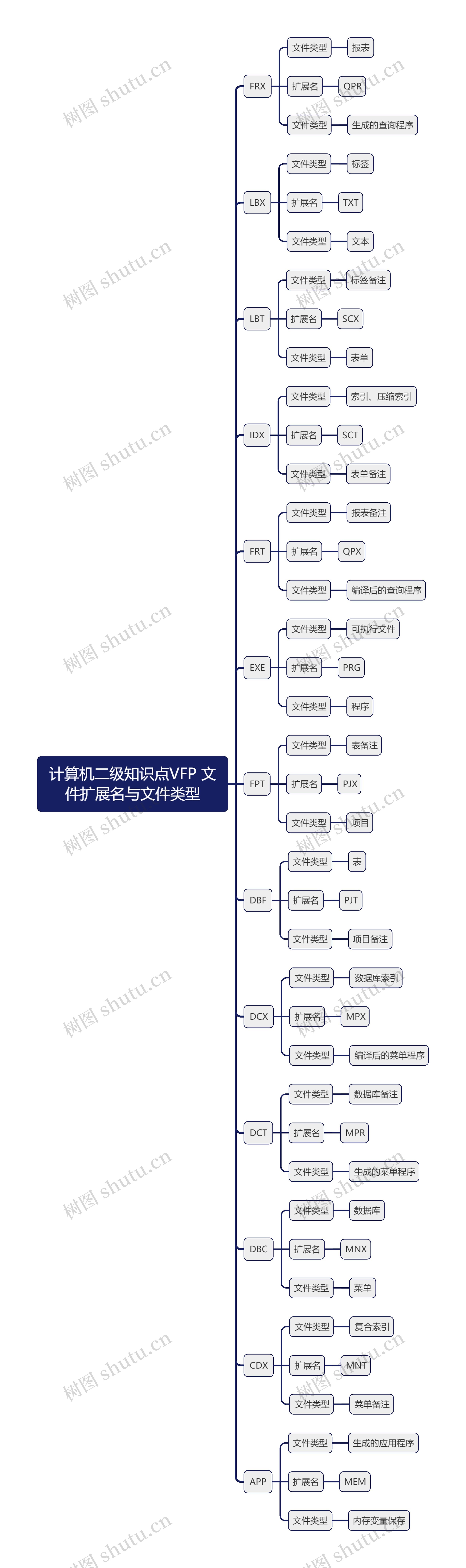 计算机二级知识点VFP 文件扩展名与文件类型思维导图