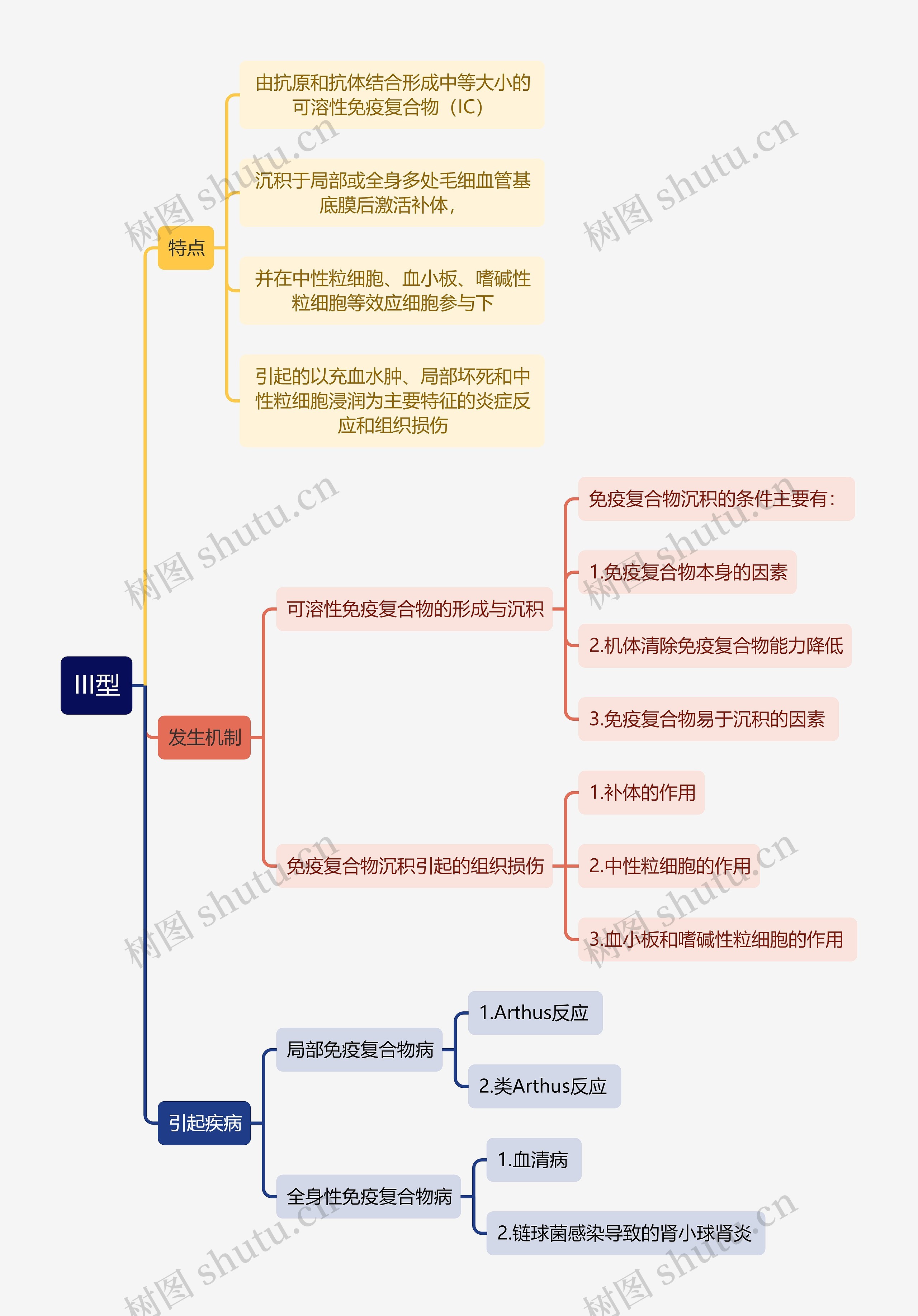 医学知识III型思维导图