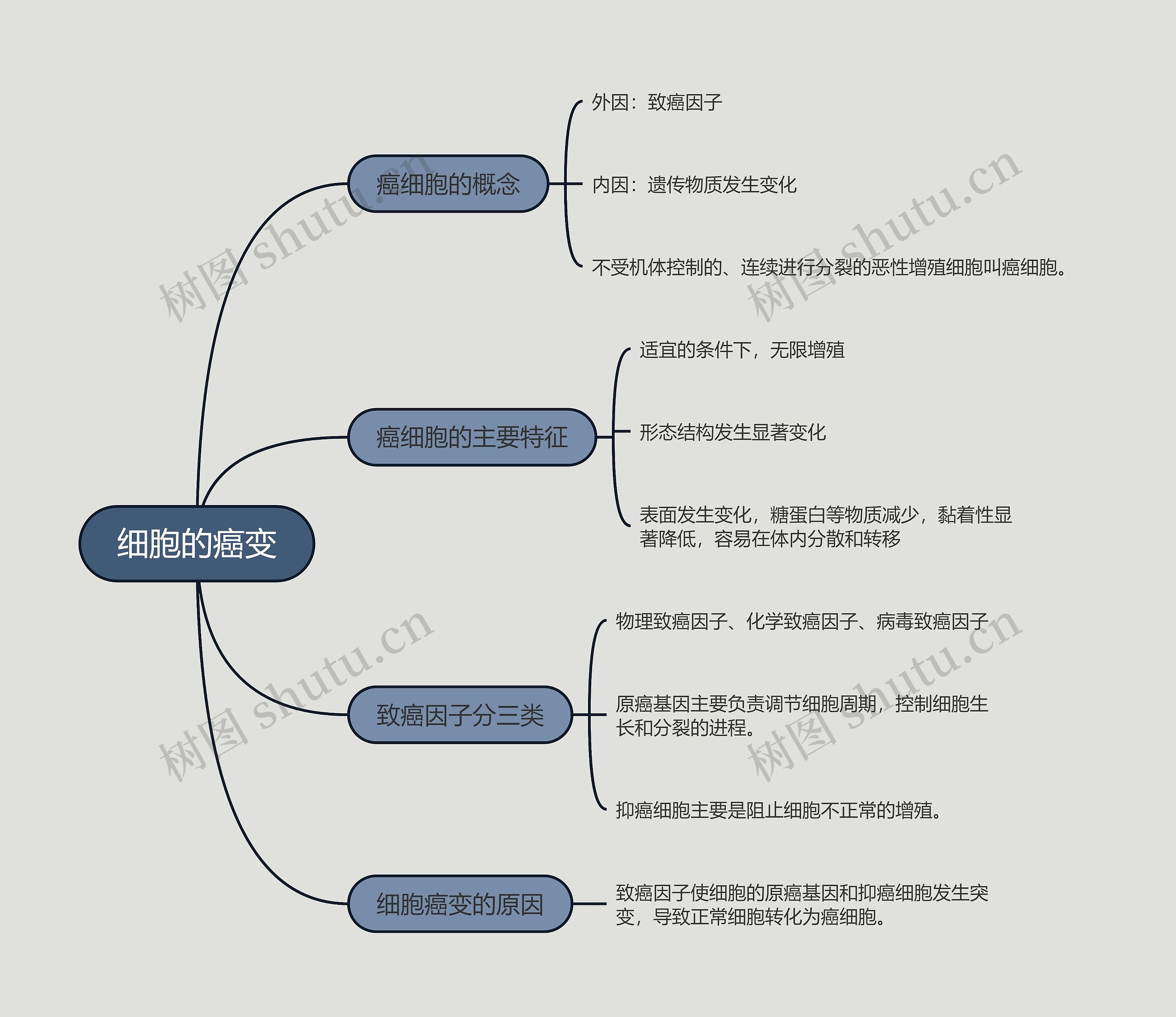 细胞的癌变的思维导图