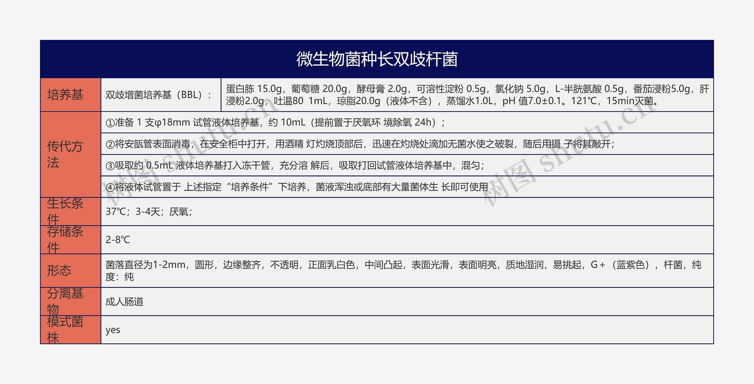 微生物菌种长双歧杆菌思维导图