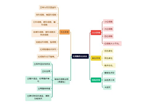 医学知识红细胞形态改变思维导图