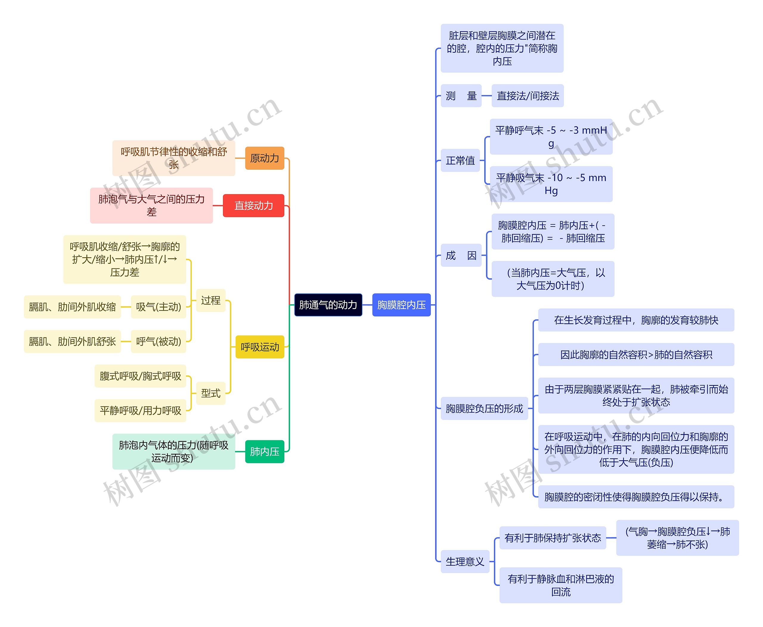 医学知识肺通气的动力思维导图