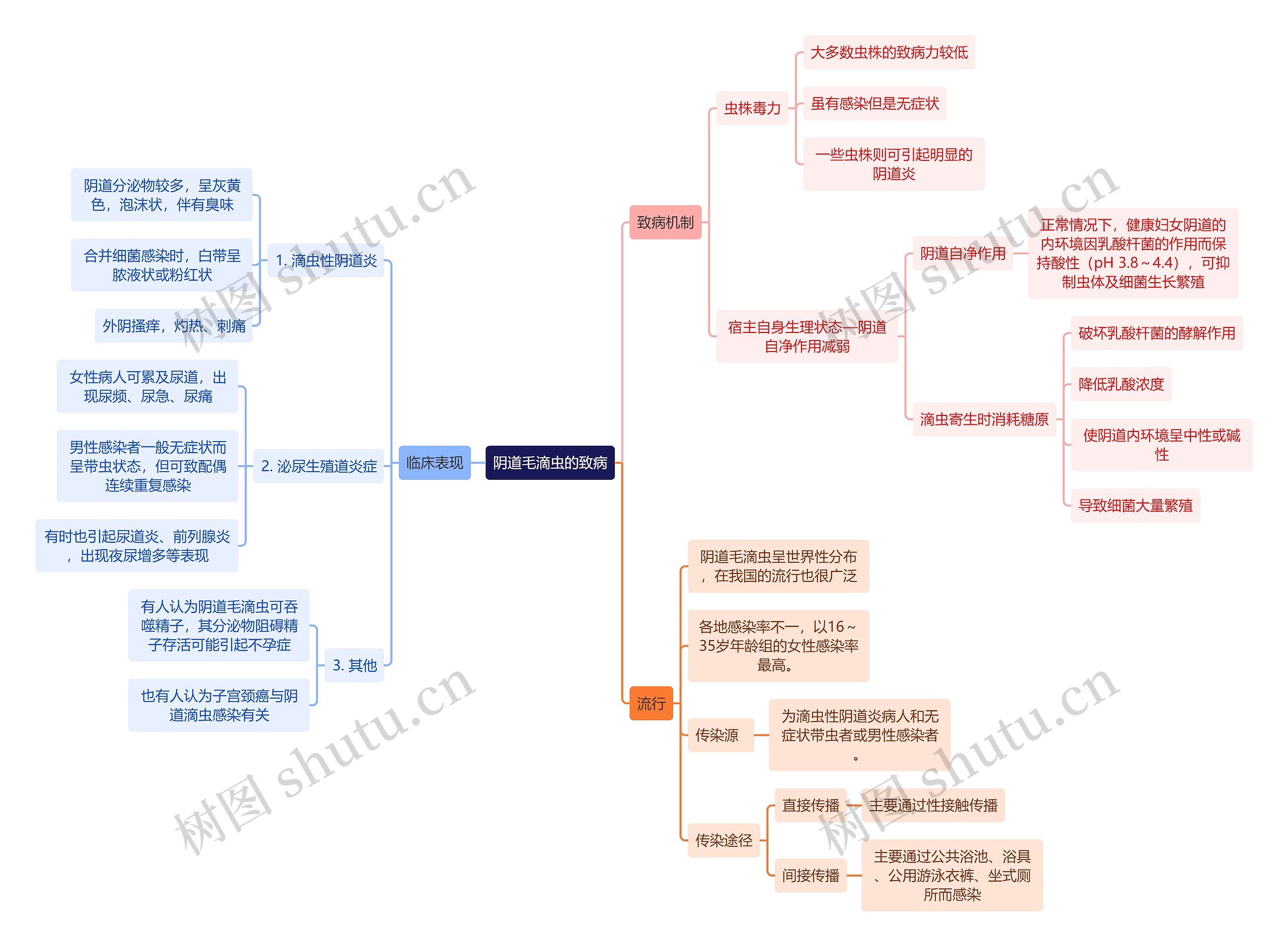 医学知识阴道毛滴虫的致病思维导图