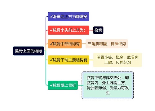 医学知识肱骨上面的结构思维导图