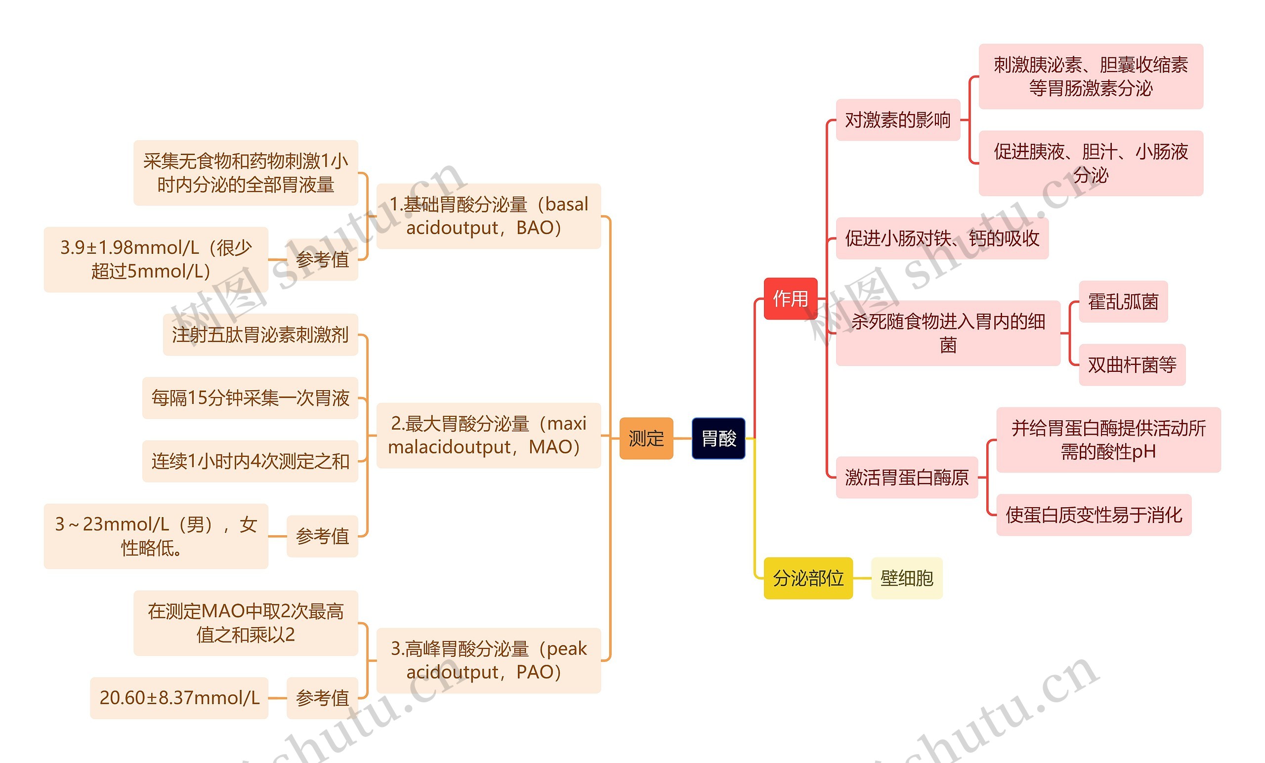 医学知识胃酸思维导图