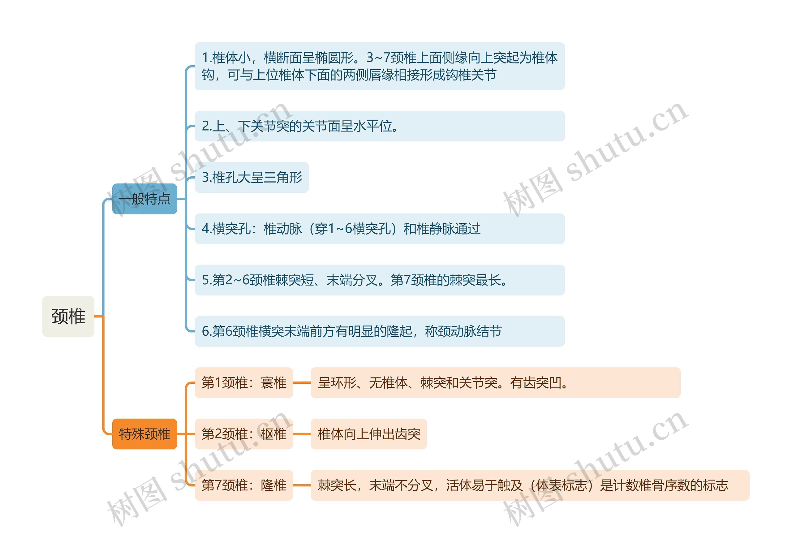 颈椎思维导图