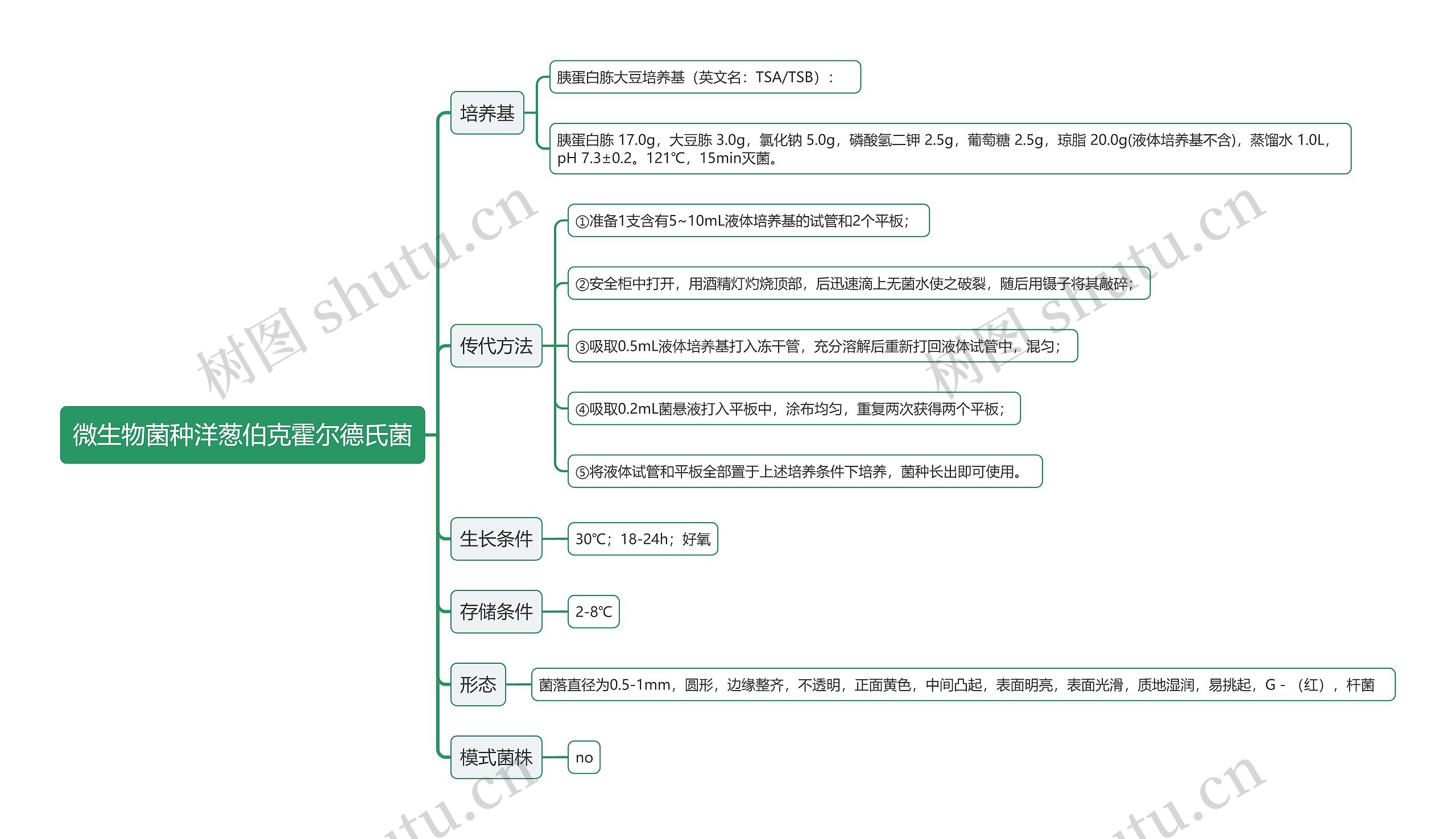 微生物菌种洋葱伯克霍尔德氏菌思维导图