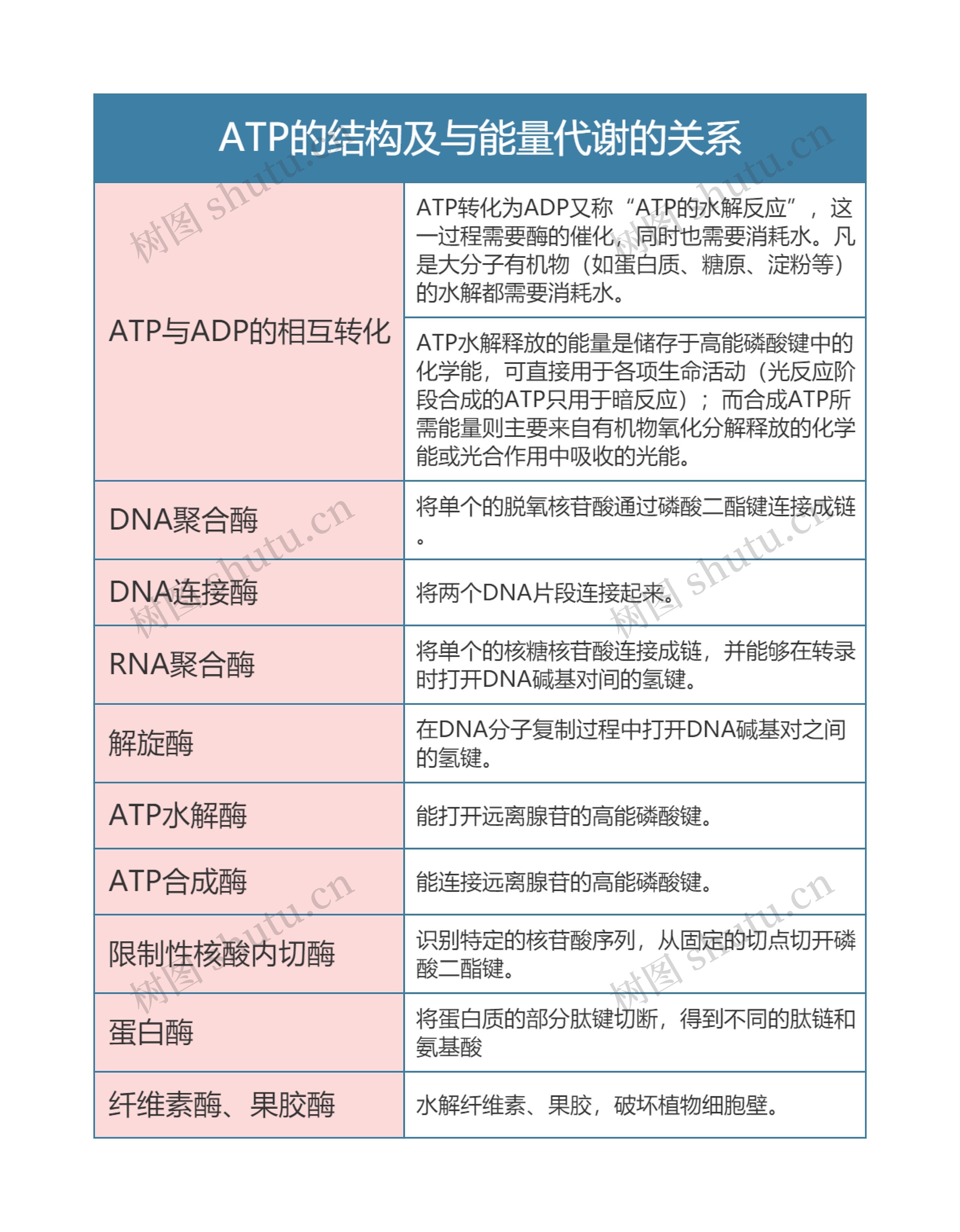 高中生物必修一ATP的结构及与能量代谢的关系思维导图