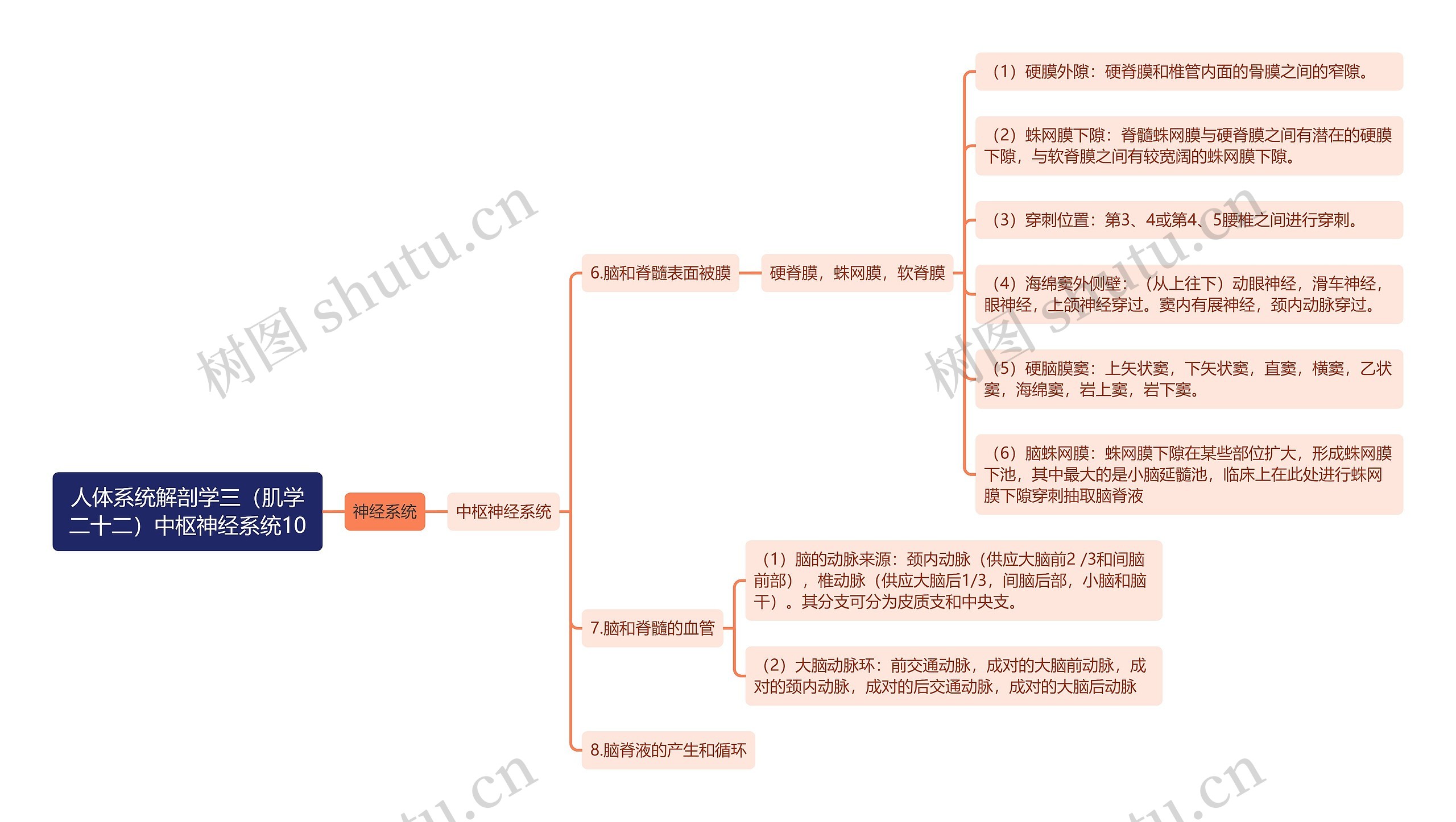 《人体系统解剖学三（肌学二十二）中枢神经系统10》思维导图