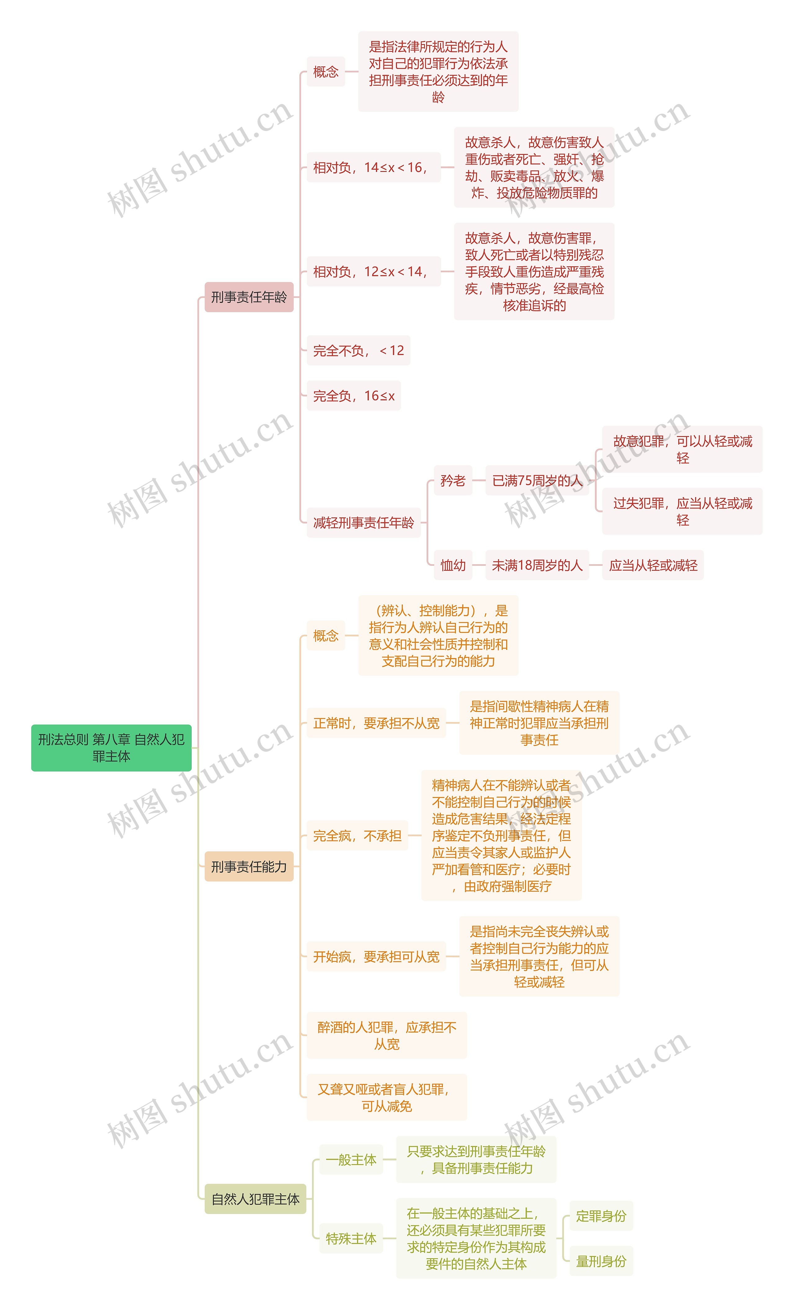 刑法总则 第八章 自然人犯罪主体