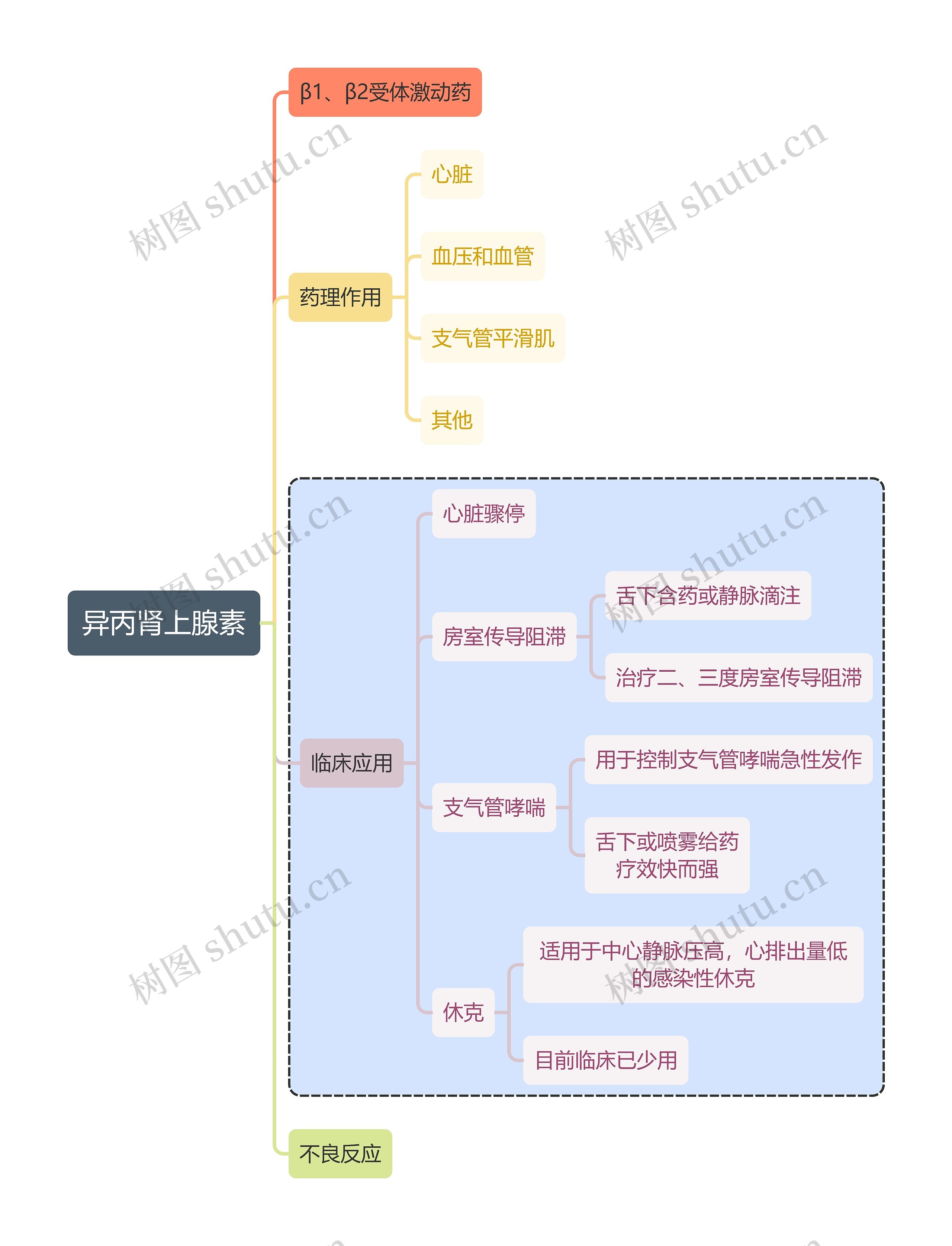 医学异丙肾上腺素思维导图