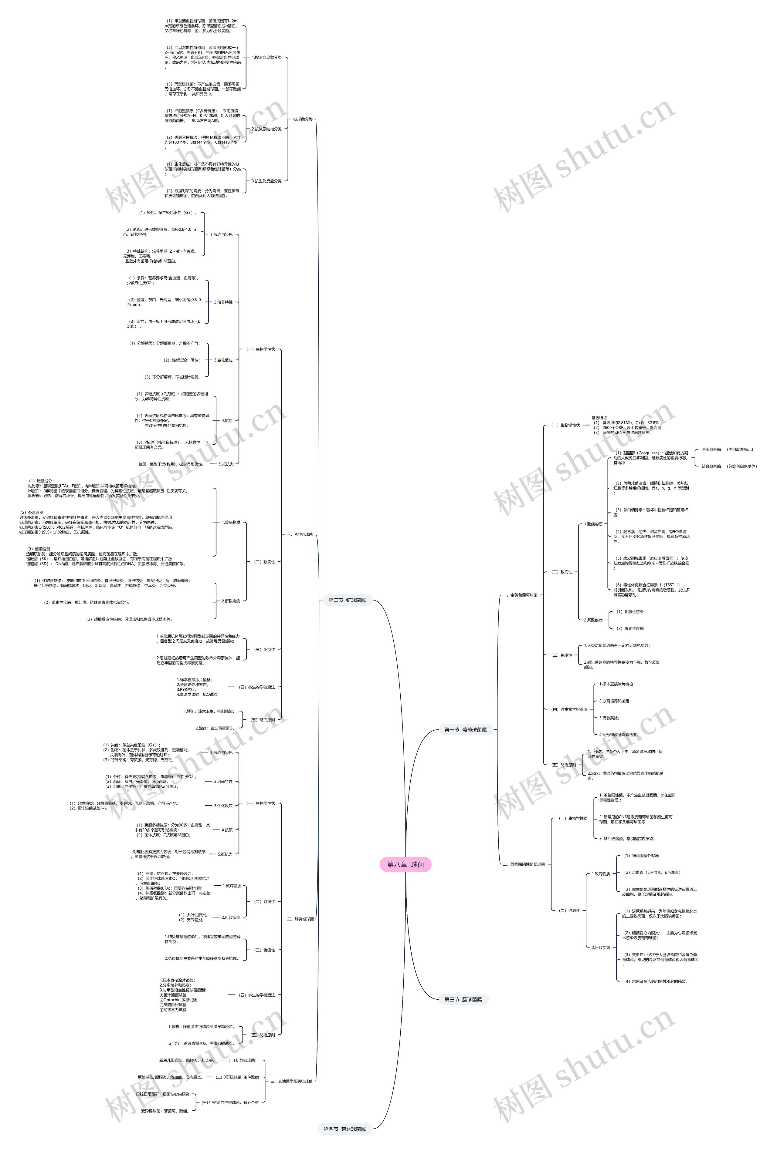 球菌思维导图