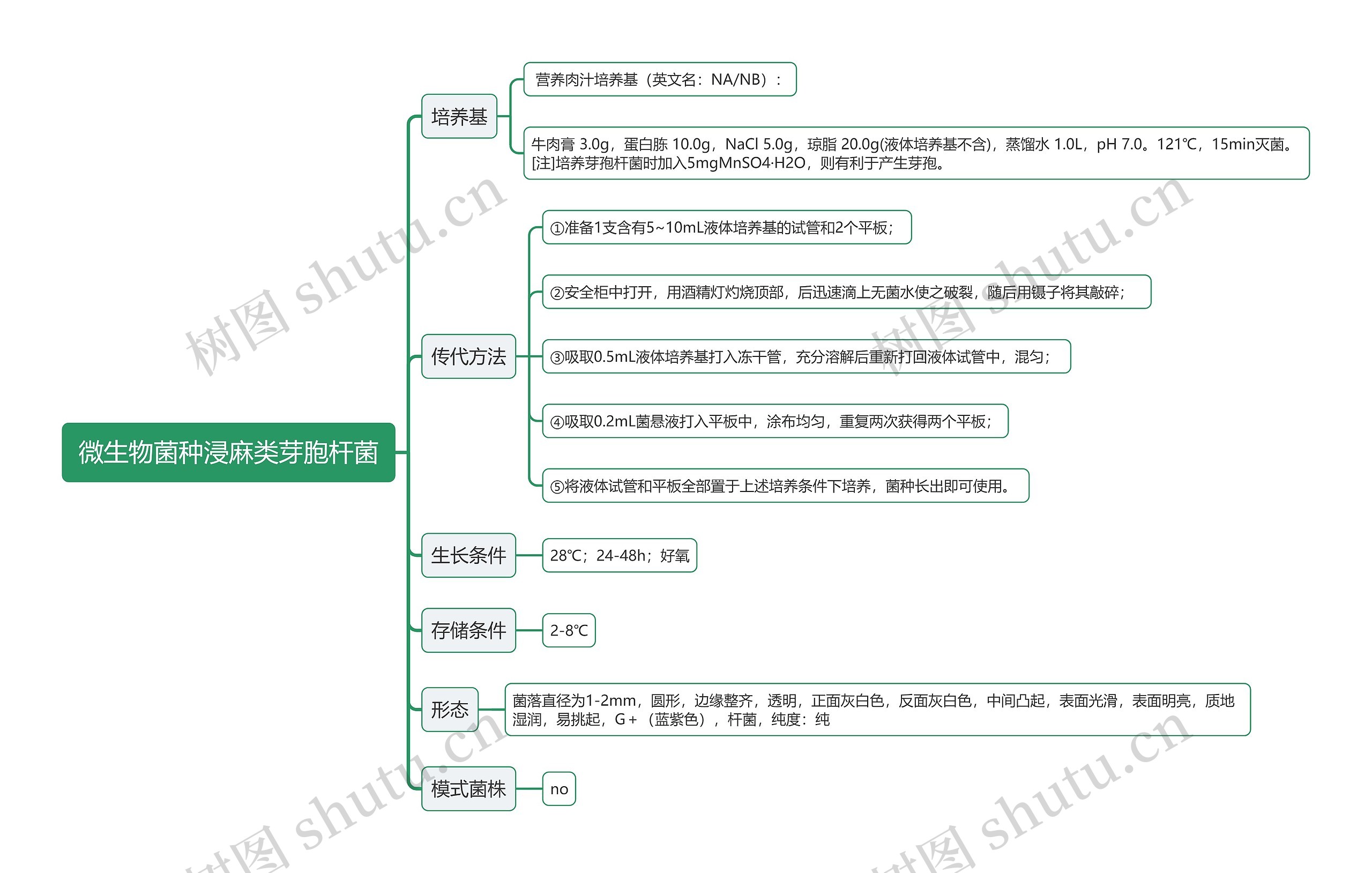 微生物菌种浸麻类芽胞杆菌思维导图