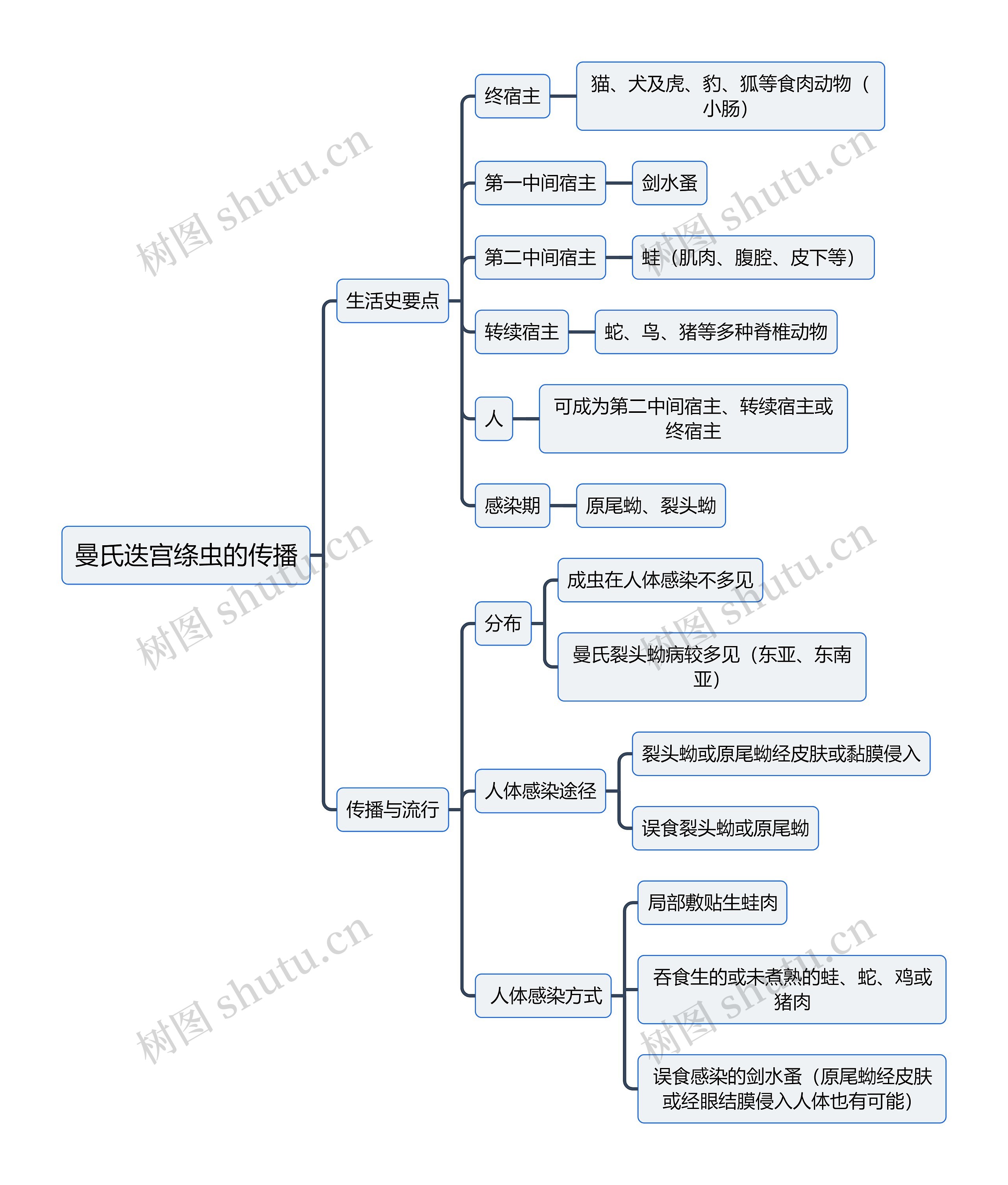 医学知识曼氏迭宫绦虫的传播思维导图